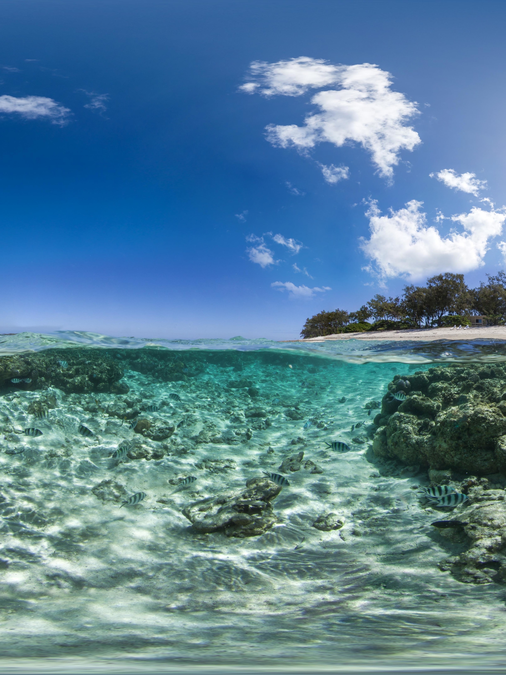 earth, underwater, australia, island, great barrier reef, ocean Full HD