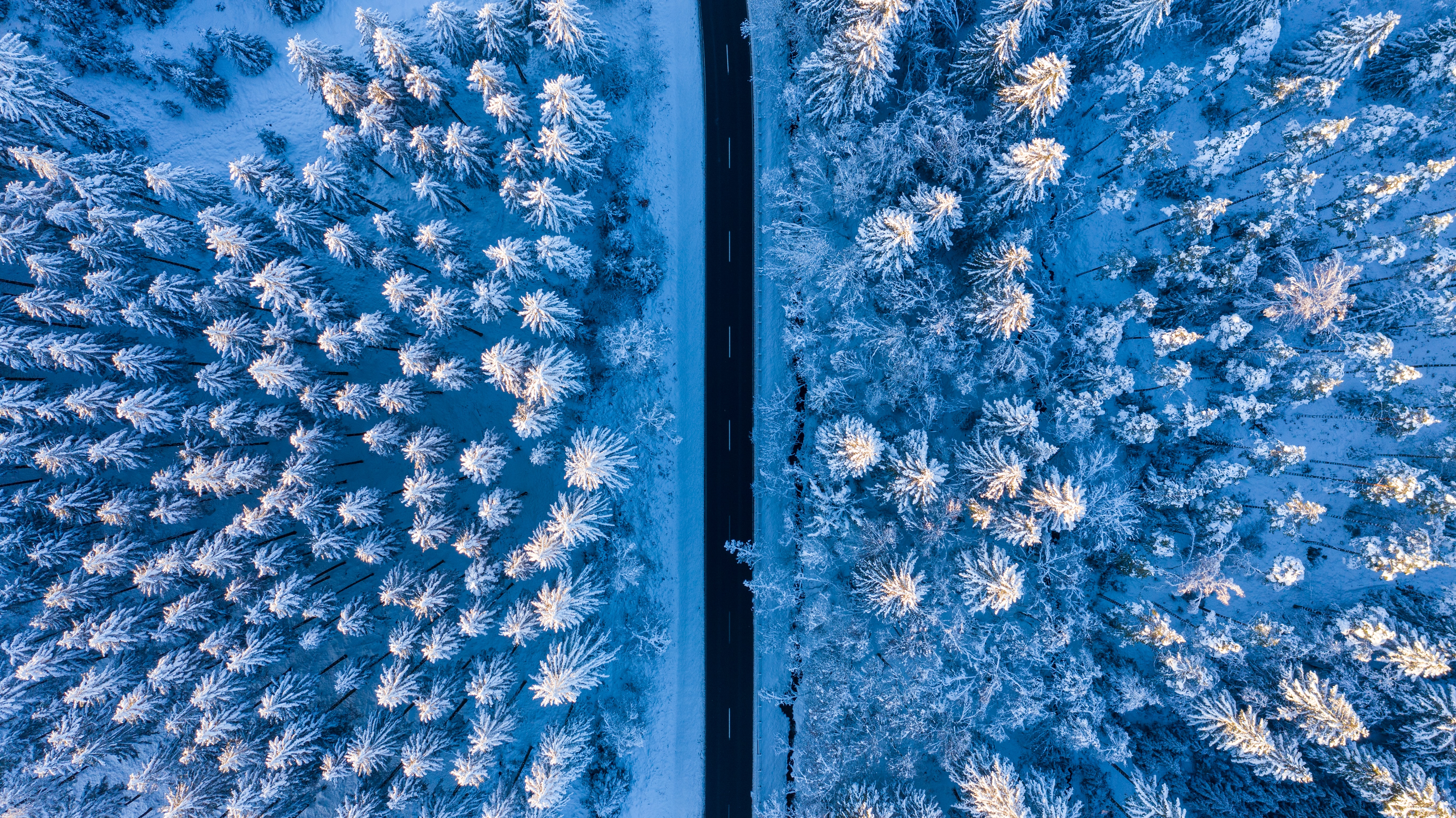 view from above, nature, snow, road, forest 4K, Ultra HD