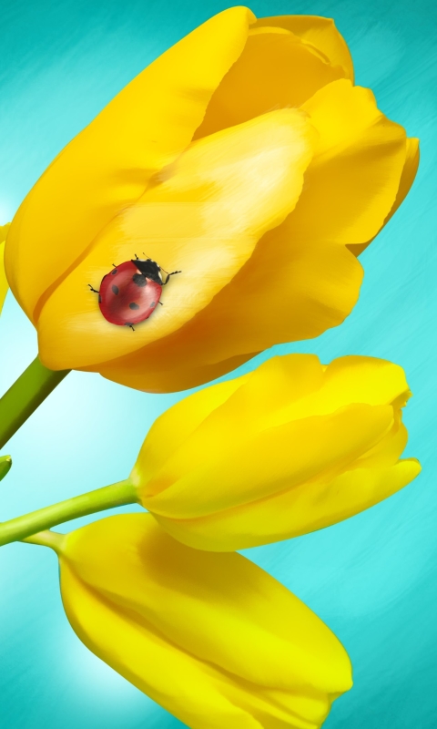 1111211 télécharger le fond d'écran terre/nature, tulipe, coccinelle, cocinelle, la nature, fleur jaune, fleurs - économiseurs d'écran et images gratuitement