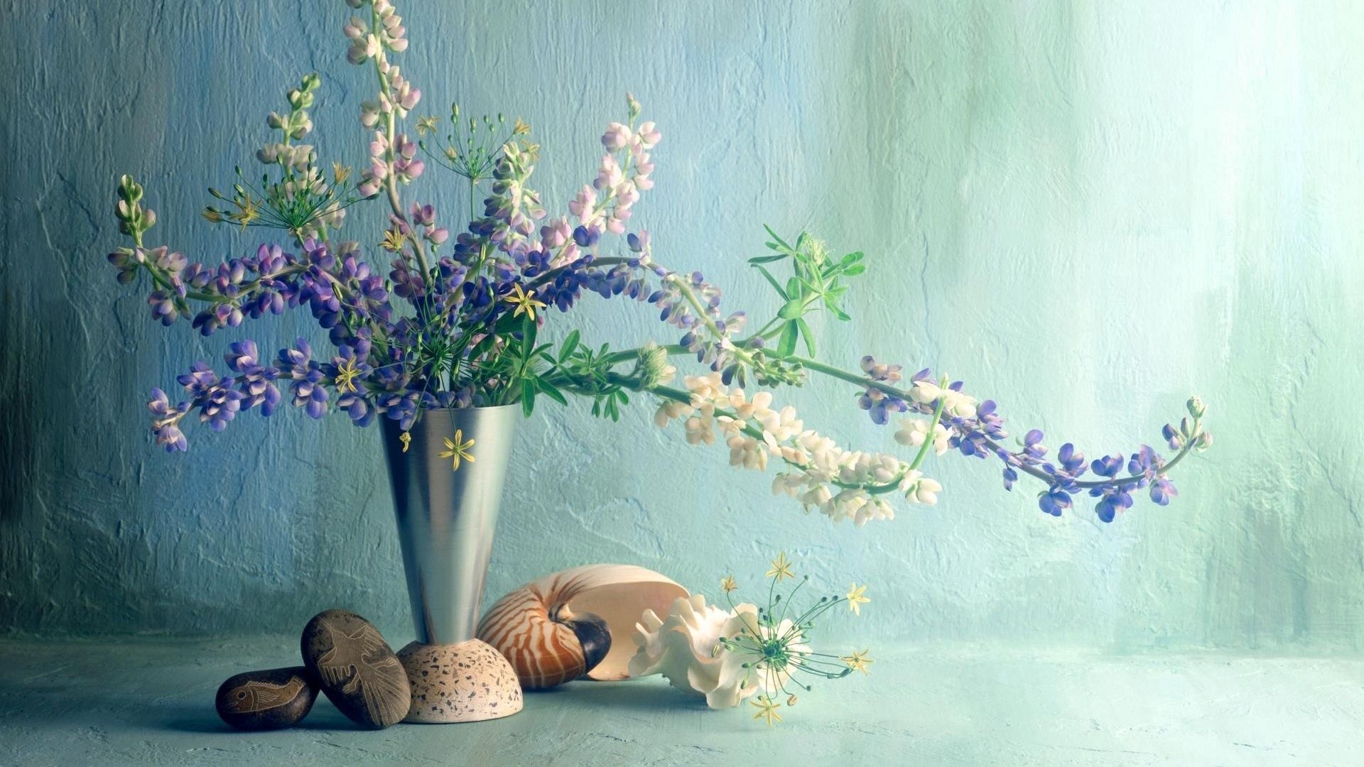 86948 Hintergrundbild herunterladen blumen, shells, strauß, bouquet, wand, vase, lupinen - Bildschirmschoner und Bilder kostenlos