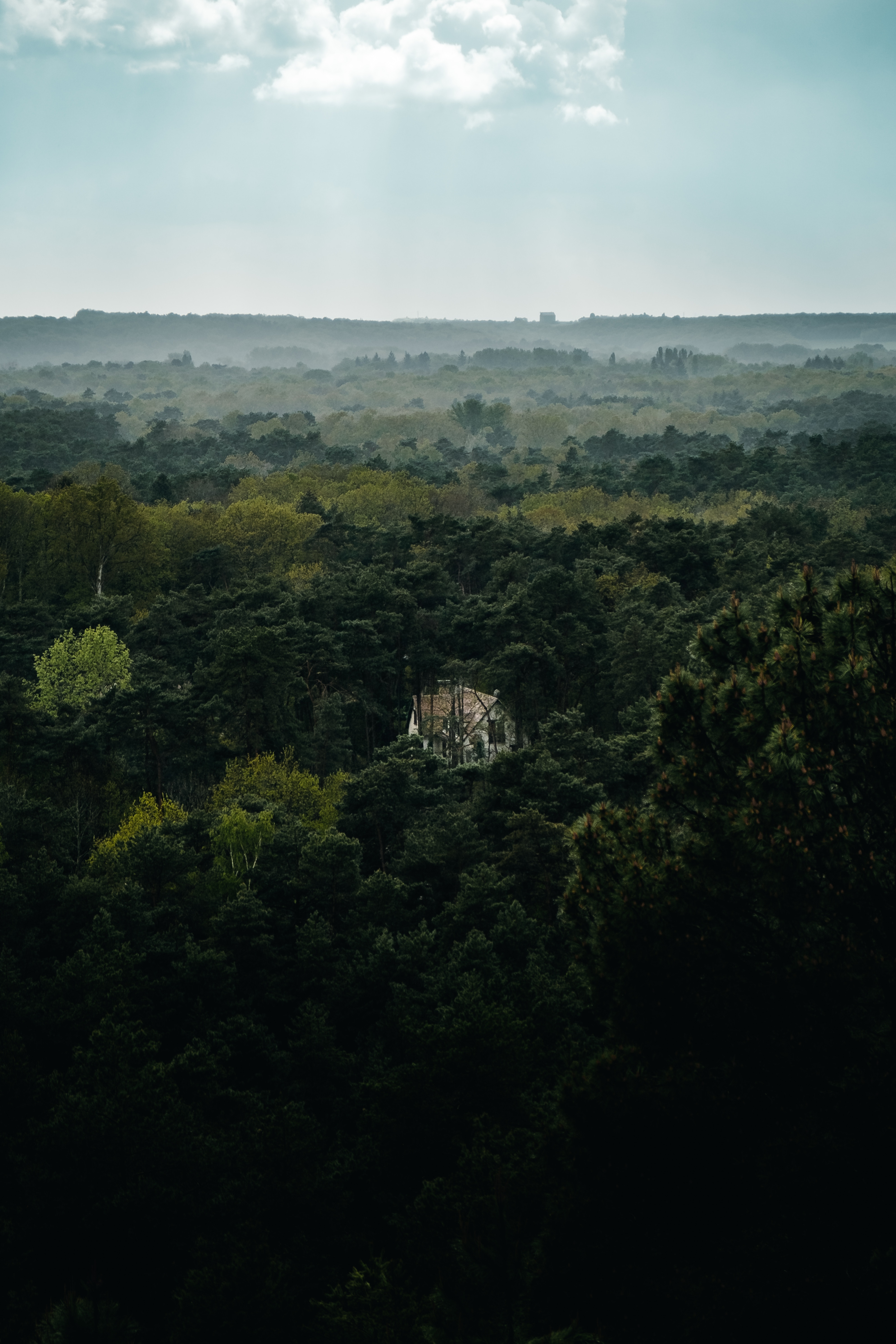 alone, house, nature, trees, view from above, forest, lonely