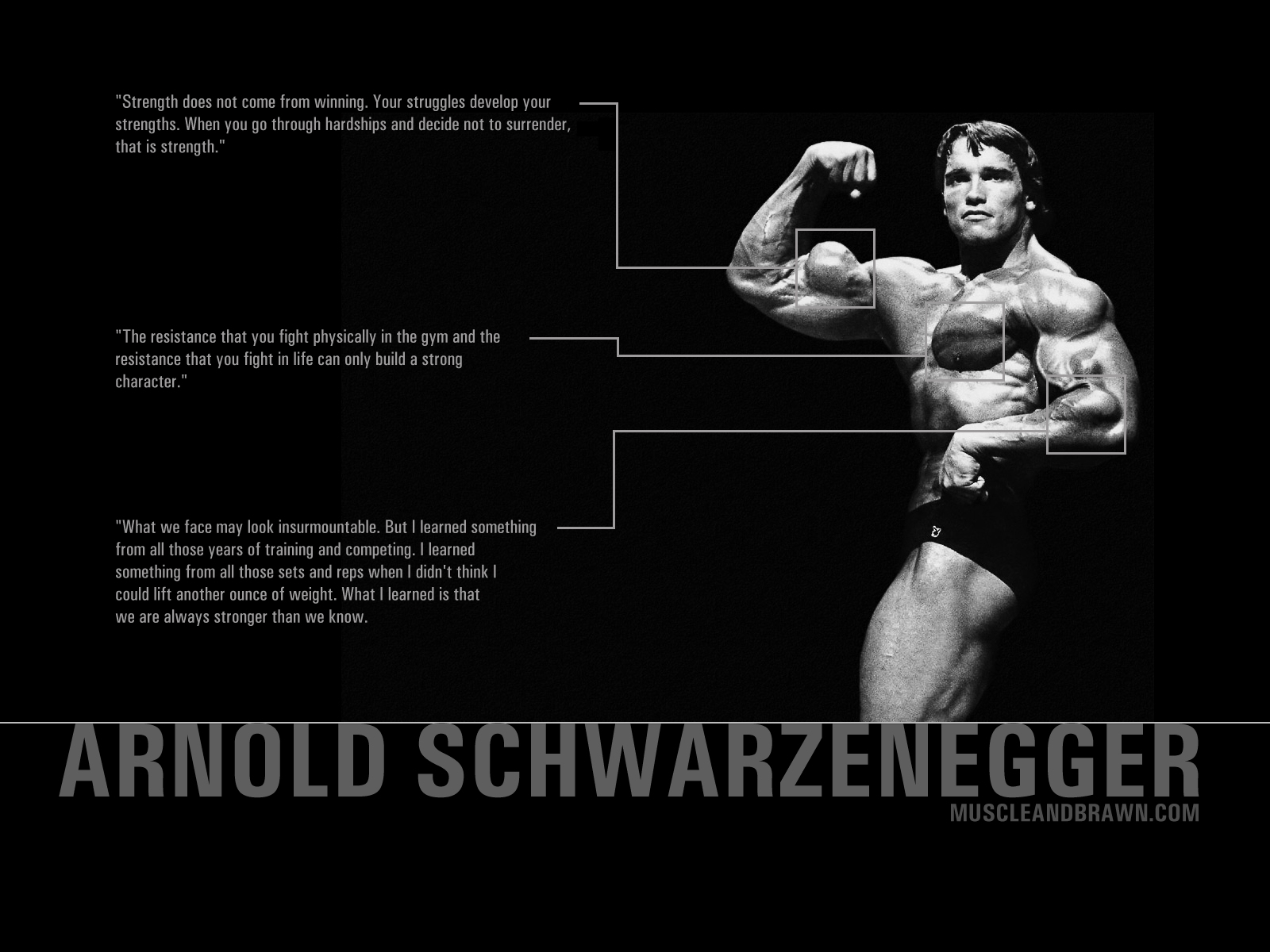 230579 Bildschirmschoner und Hintergrundbilder Arnold Schwarzenegger auf Ihrem Telefon. Laden Sie  Bilder kostenlos herunter