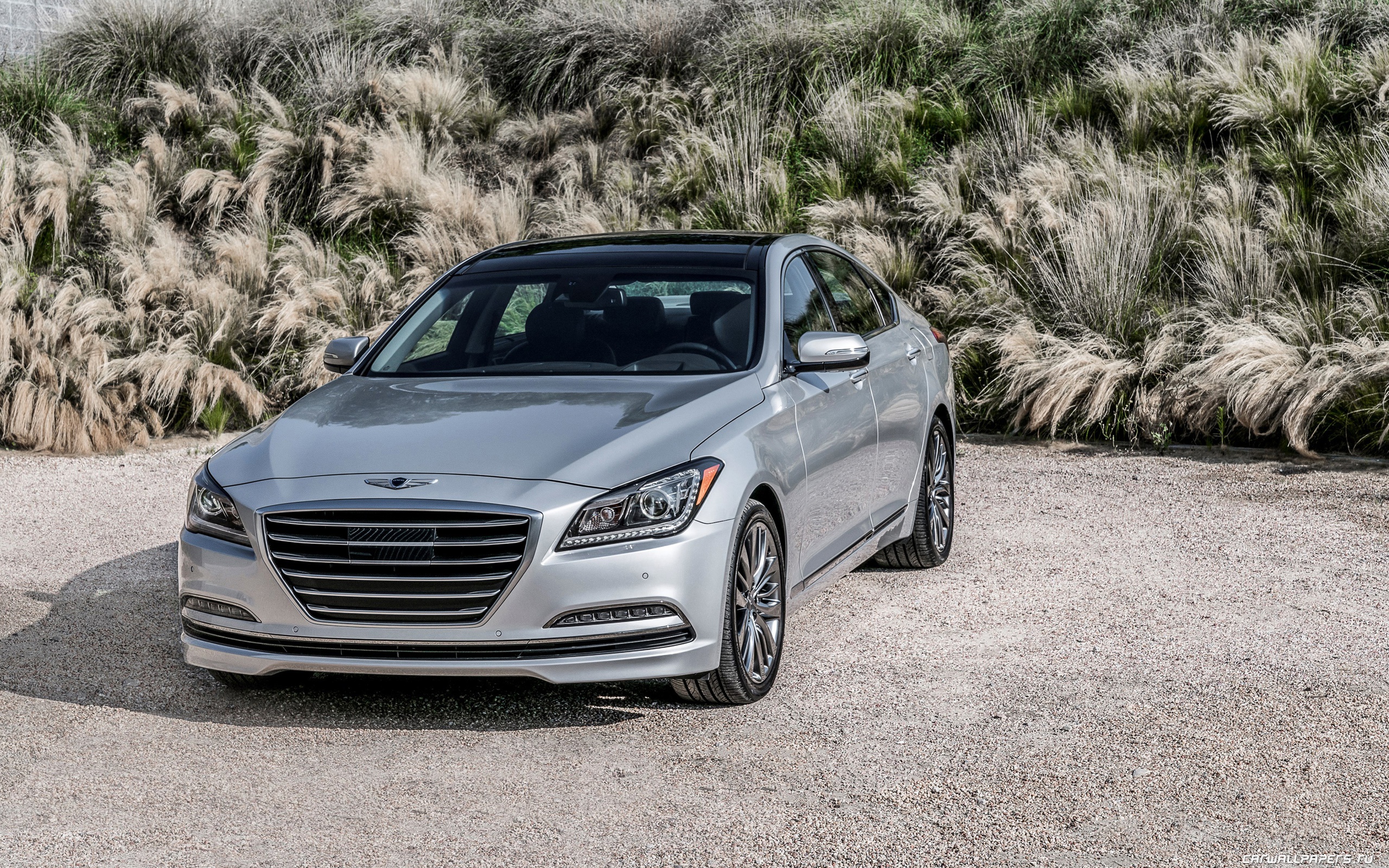 Genesis g80. Hyundai Genesis g80. Hyundai Genesis g80 2015. Hyundai Genesis g80 2016. Hyundai Genesis g80 2017.