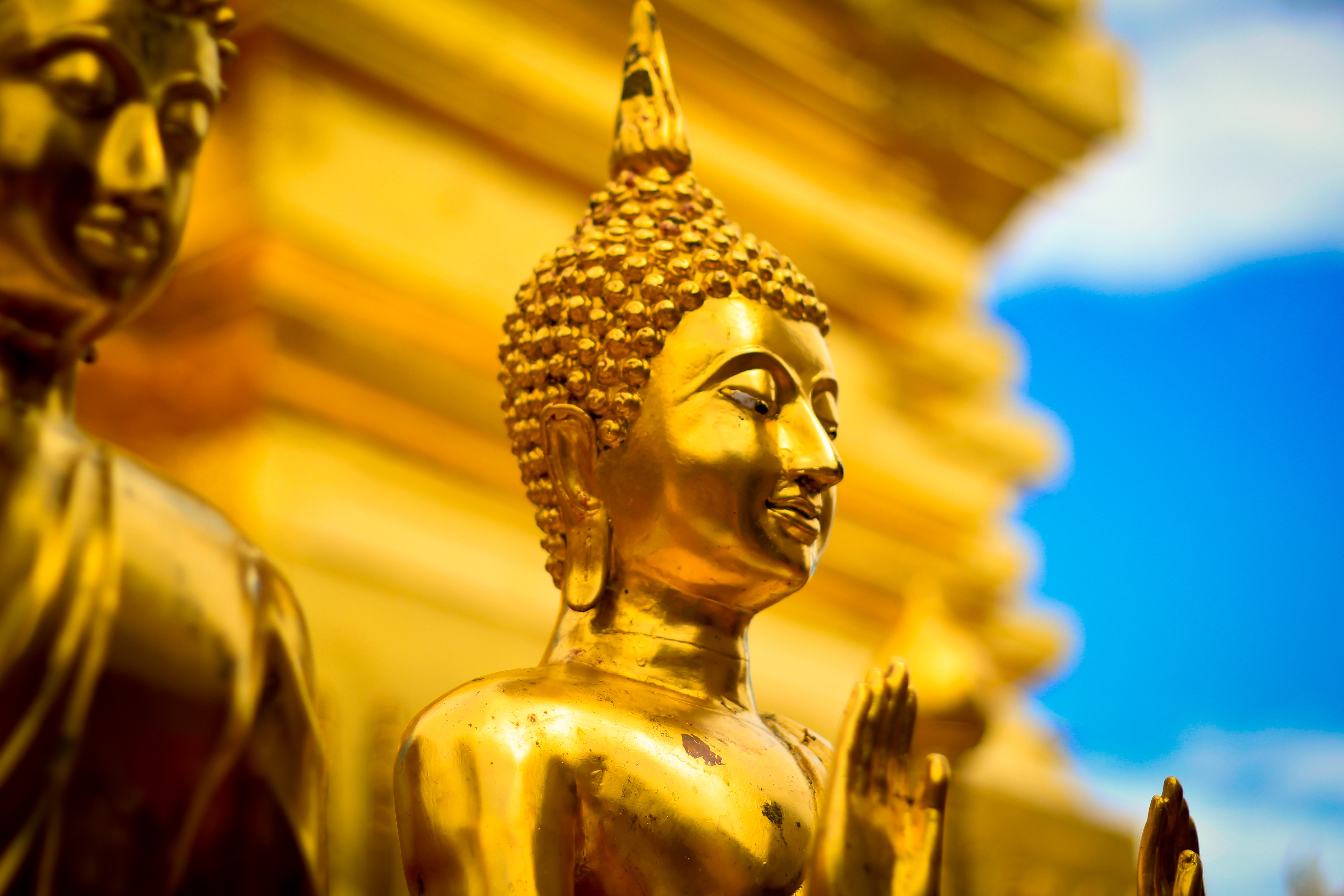 buddha, thailand, religious, religion, statue