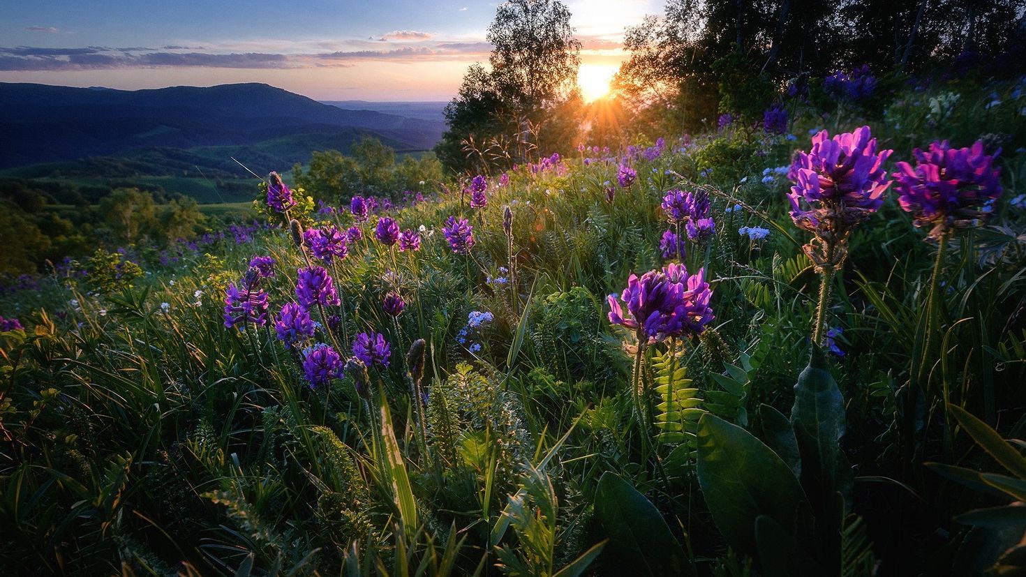 закат в горах алтая