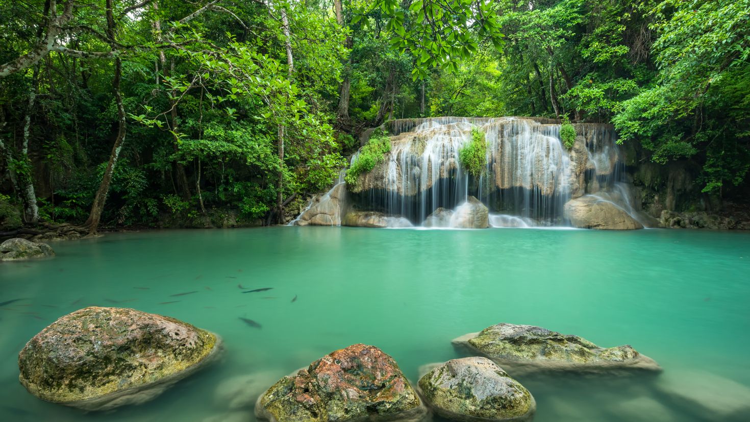 Озера водопад лес. Водопад Эраван Таиланд. Водопад Эраван рыбки. Озеро Канчанабури. Водопад в джунглях Тайланд.