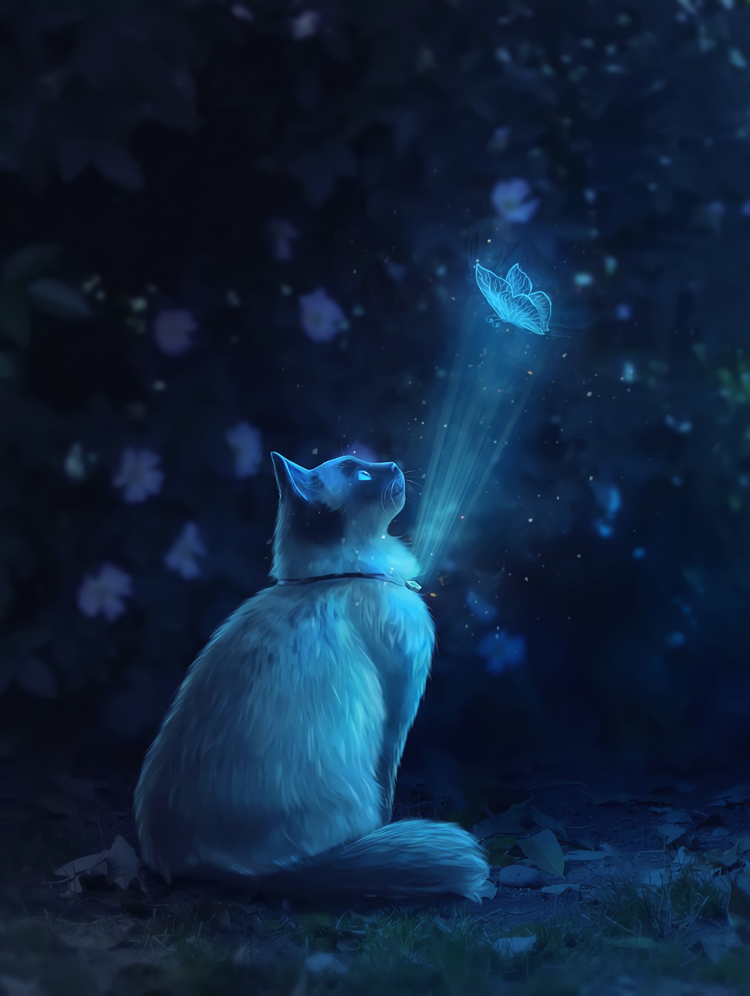 cat, art, shine, illusion, light, butterfly images