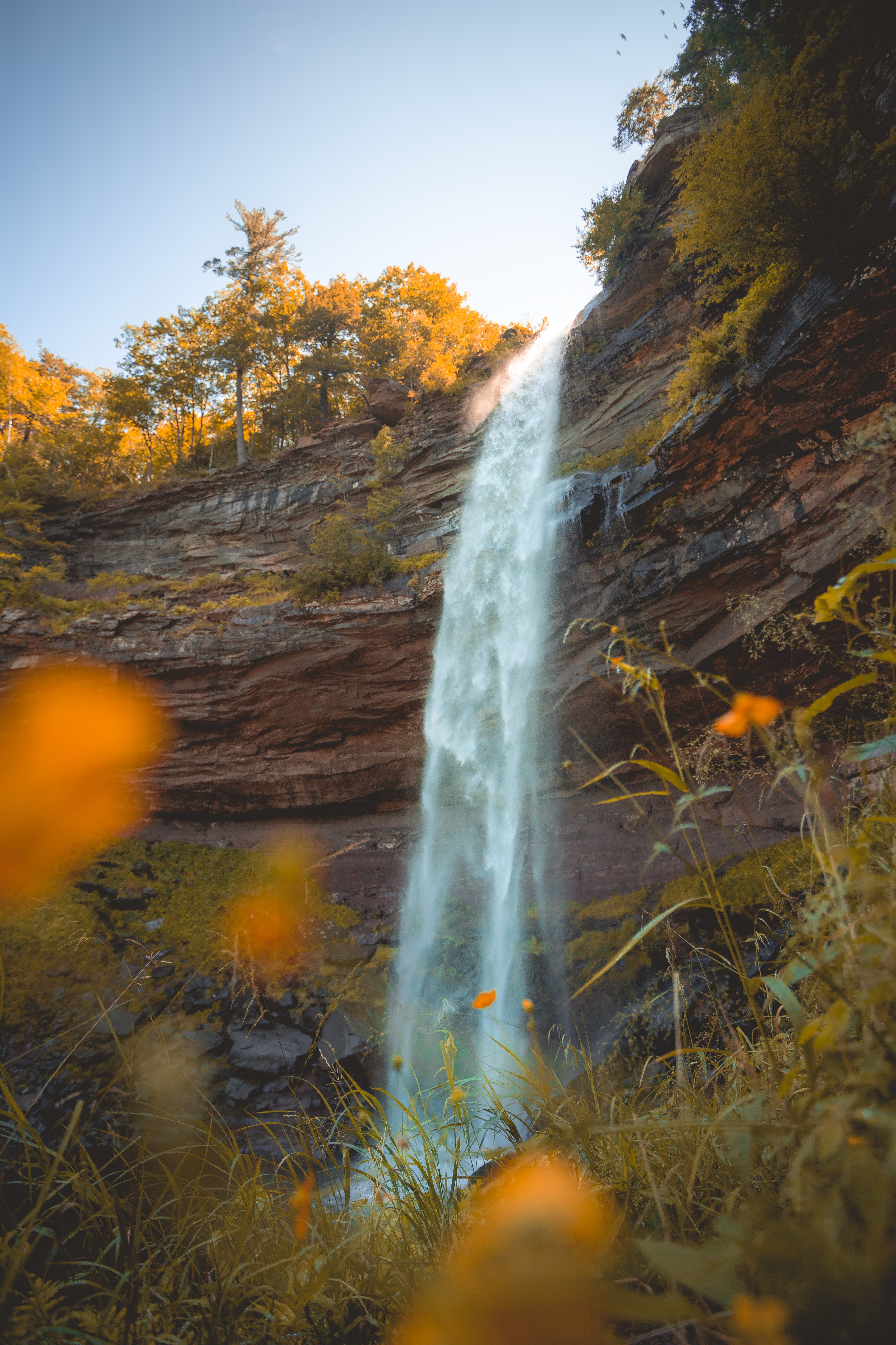 waterfall, nature, flowers, grass, rock, break, precipice download HD wallpaper