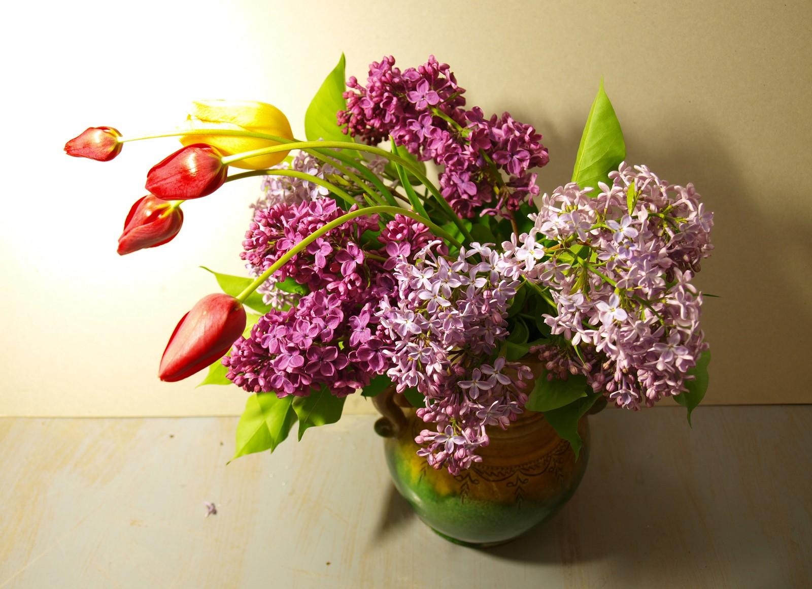 flowers, lilac, tulips, bloom, flowering, spring HD for desktop 1080p