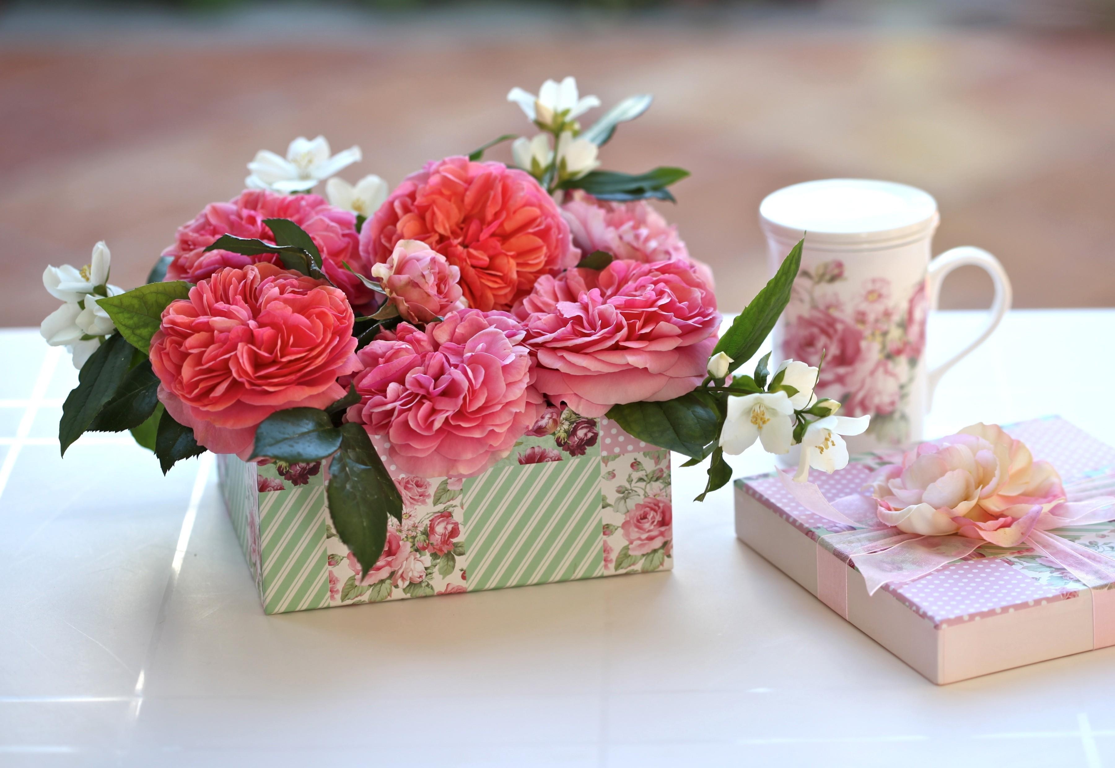 130138 baixar papel de parede flores, rosas, um copo, chávena, caixa, presente, buds, botões, surpresa, surpreender, cápsula - protetores de tela e imagens gratuitamente