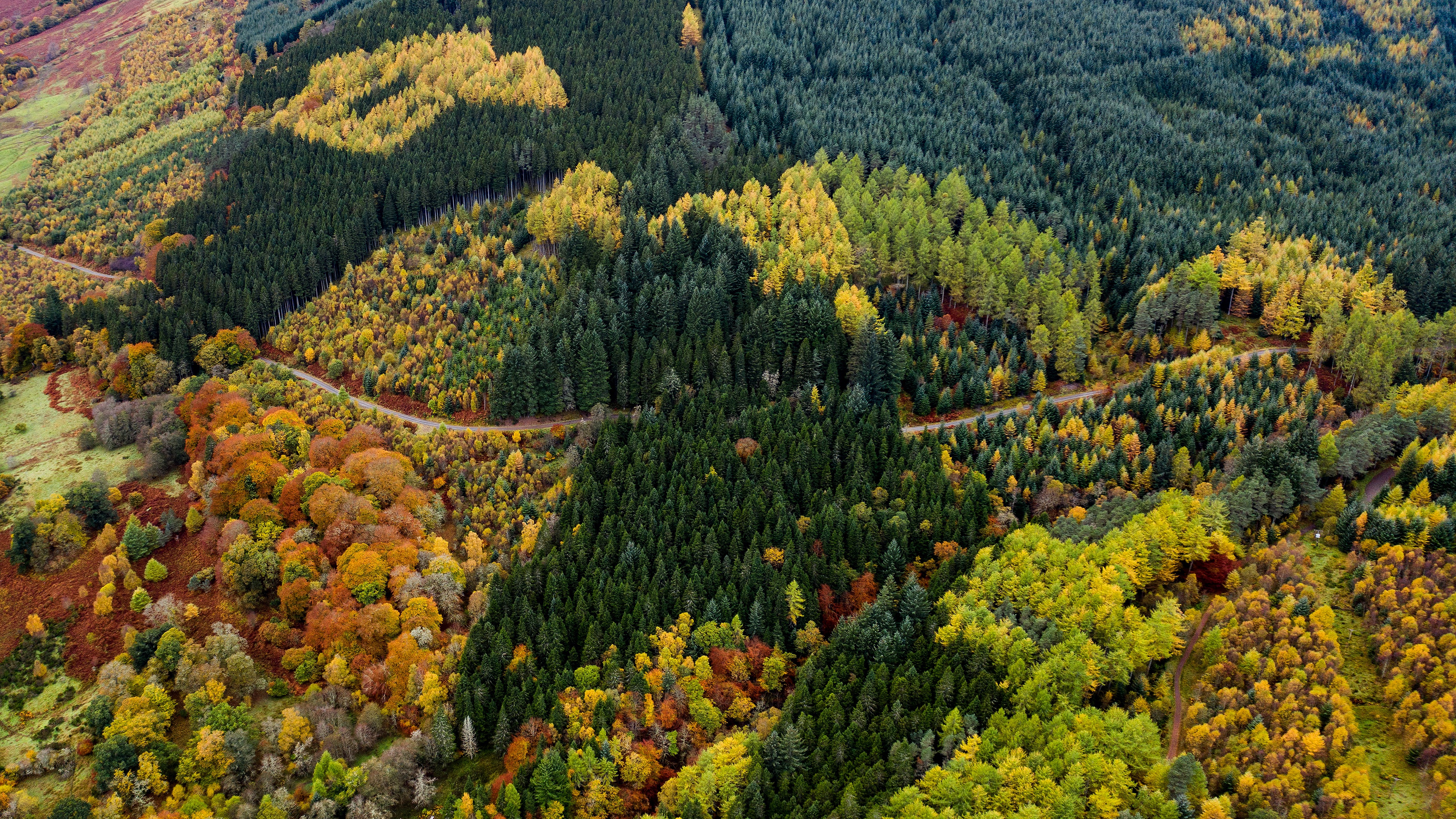 Download mobile wallpaper Road, Forest, Fall, Photography, Aerial for free.