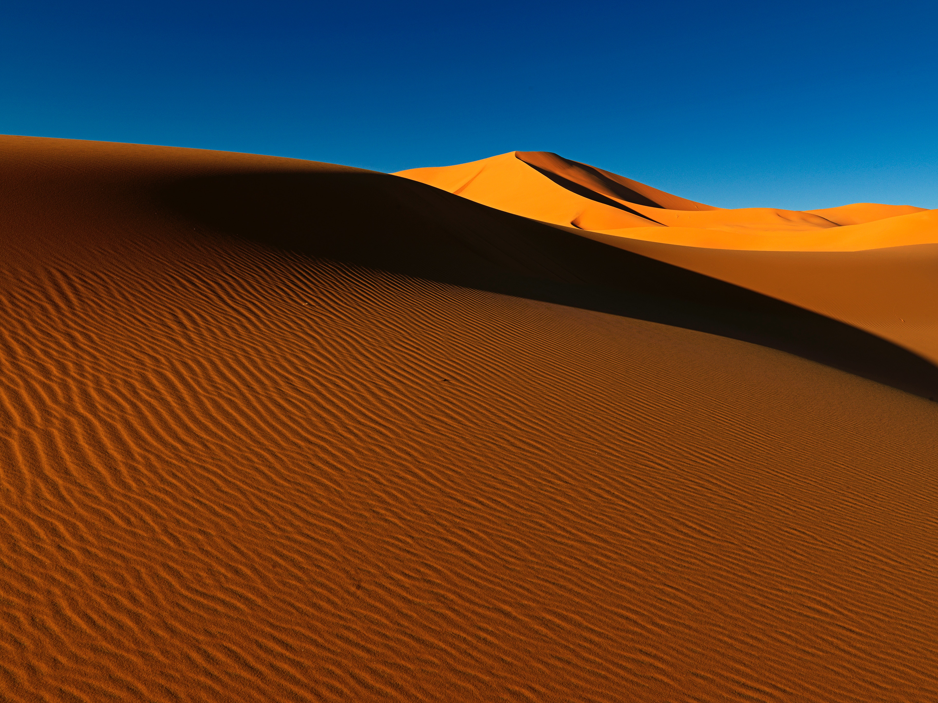 92793 Hintergrundbild herunterladen sand, natur, wüste, schatten, die hügel, hügel, dünen, links - Bildschirmschoner und Bilder kostenlos