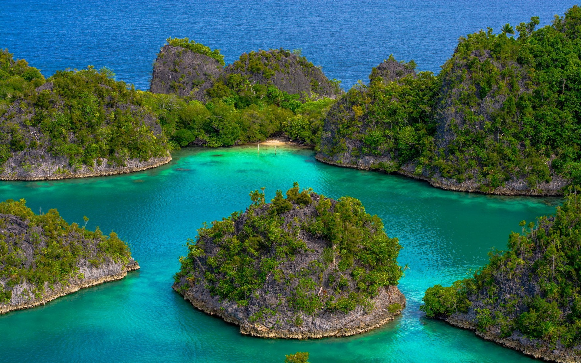 indonesia, earth, island, bay, green, nature, ocean, philippines, sea, tree, turquoise
