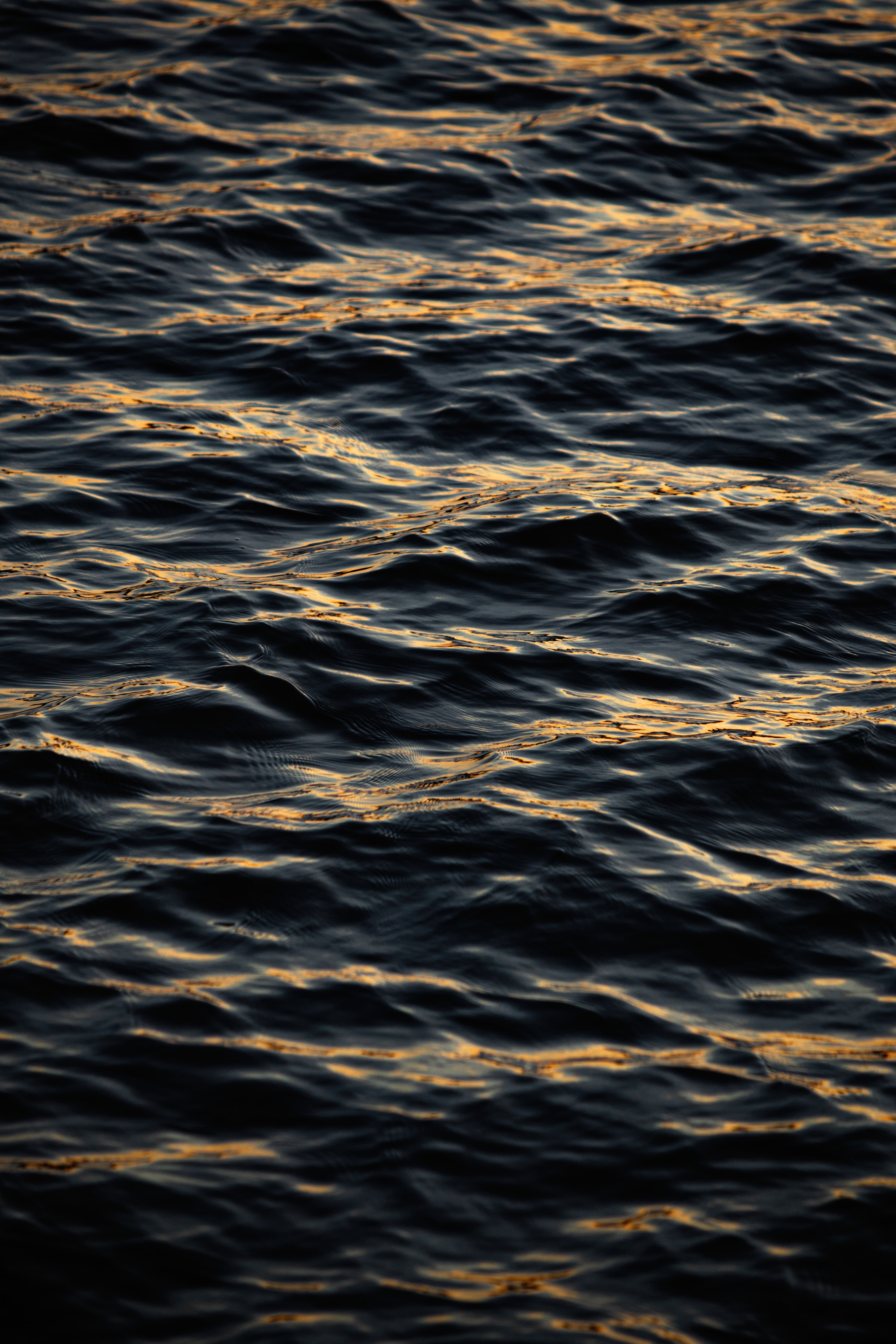 ripple, nature, water, waves, black, ripples