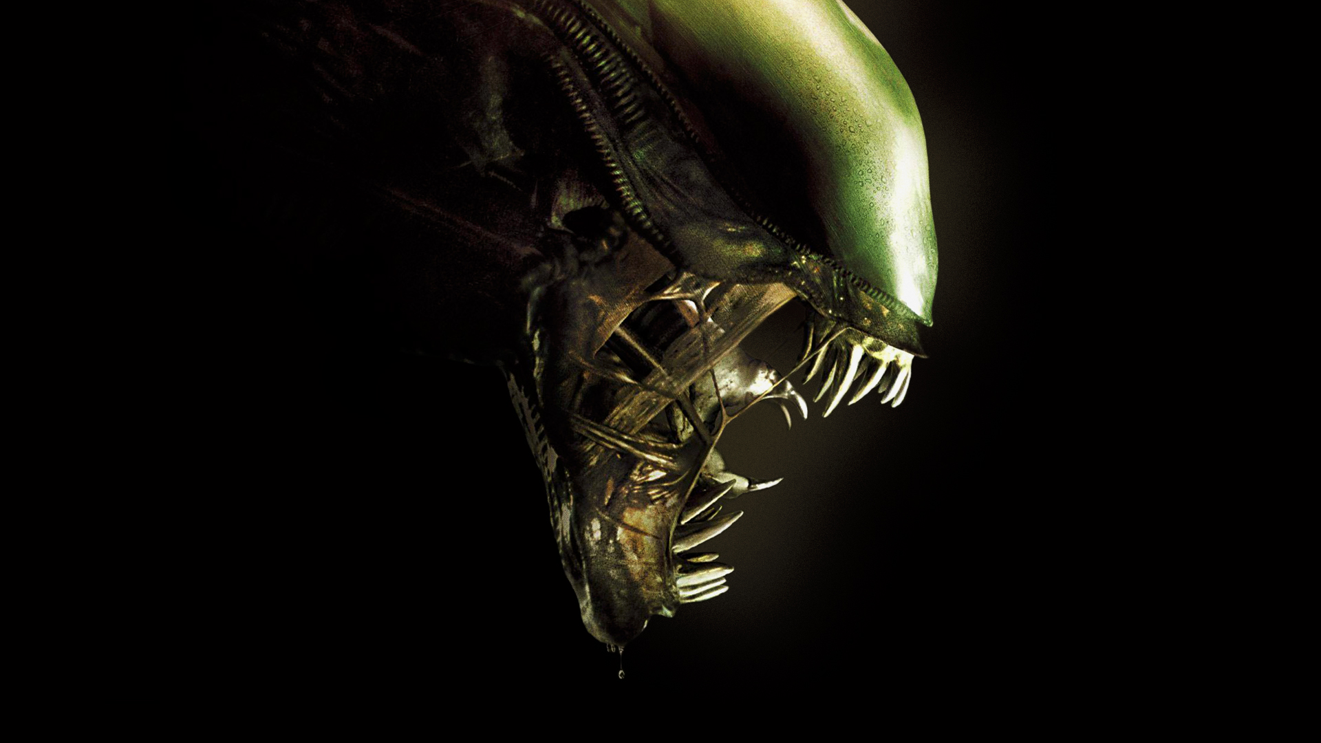 Wallpaper Alien Movie Xenomorph  Wallpaperforu