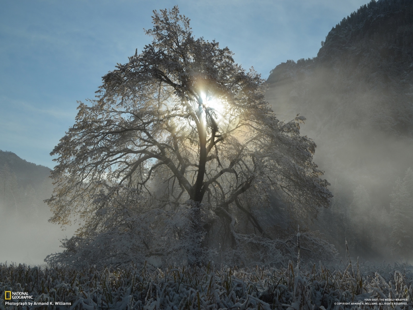 Скачать картинку Зима, Солнце, Пейзаж, Деревья в телефон бесплатно.