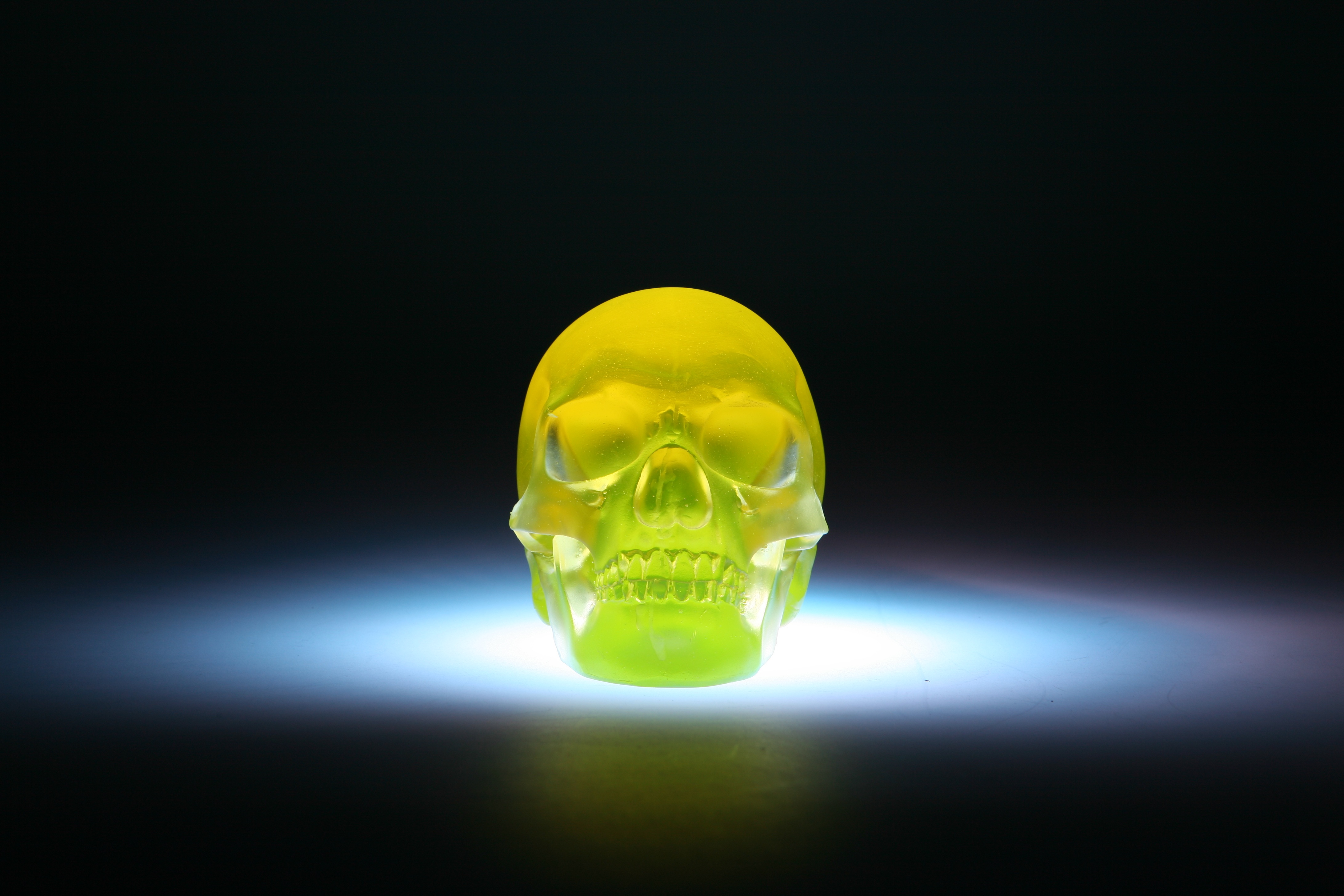 Téléchargez des papiers peints mobile Modèle 3D, Le Crâne, Crâne, 3D gratuitement.