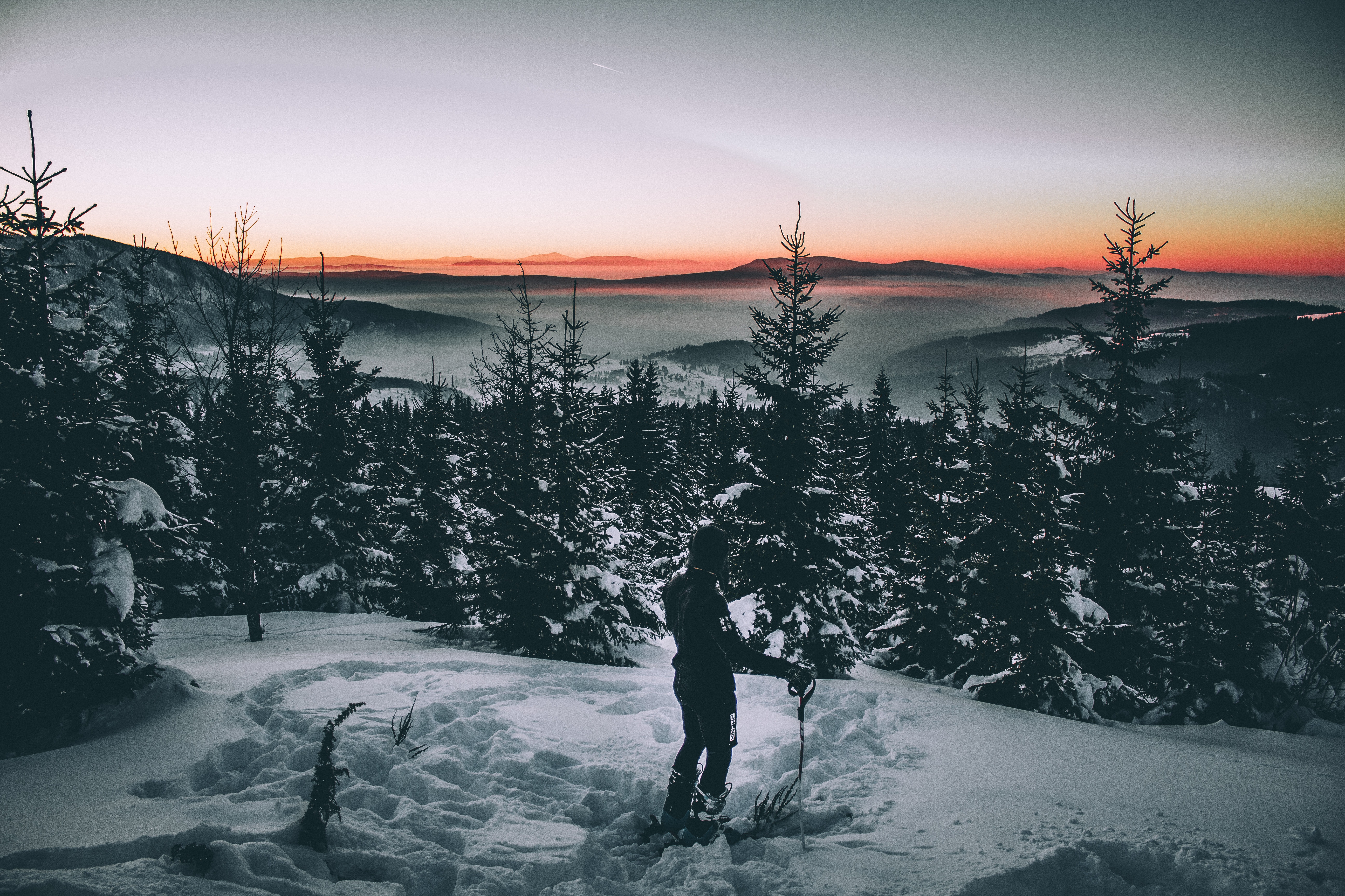無料モバイル壁紙スキーヤー, 冬, 雪, 木, 闇, 暗いをダウンロードします。