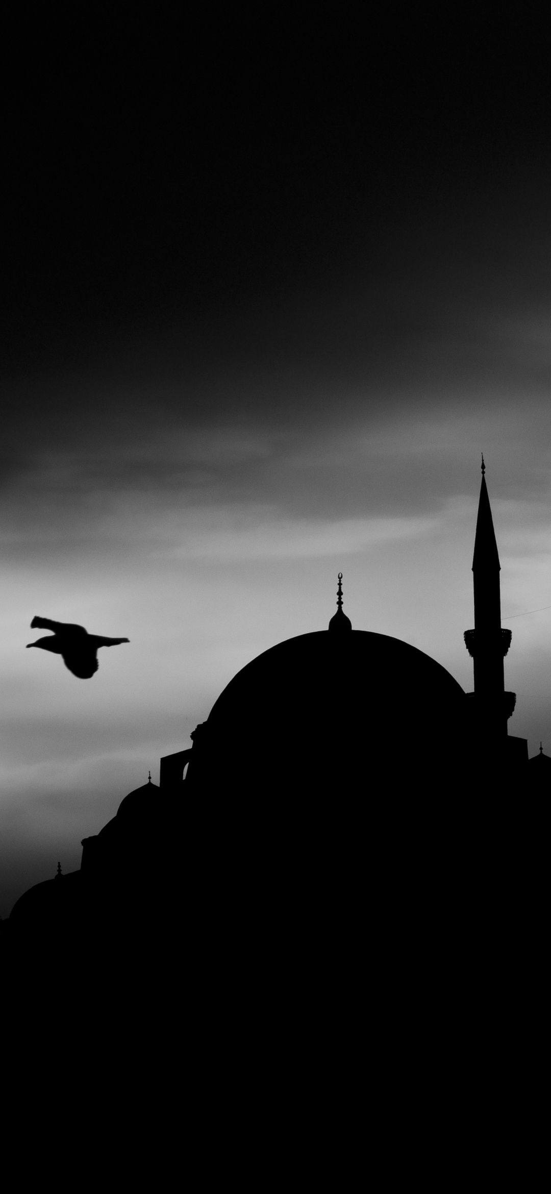religious, suleymaniye mosque, silhouette, istanbul, night, mosque, mosques images