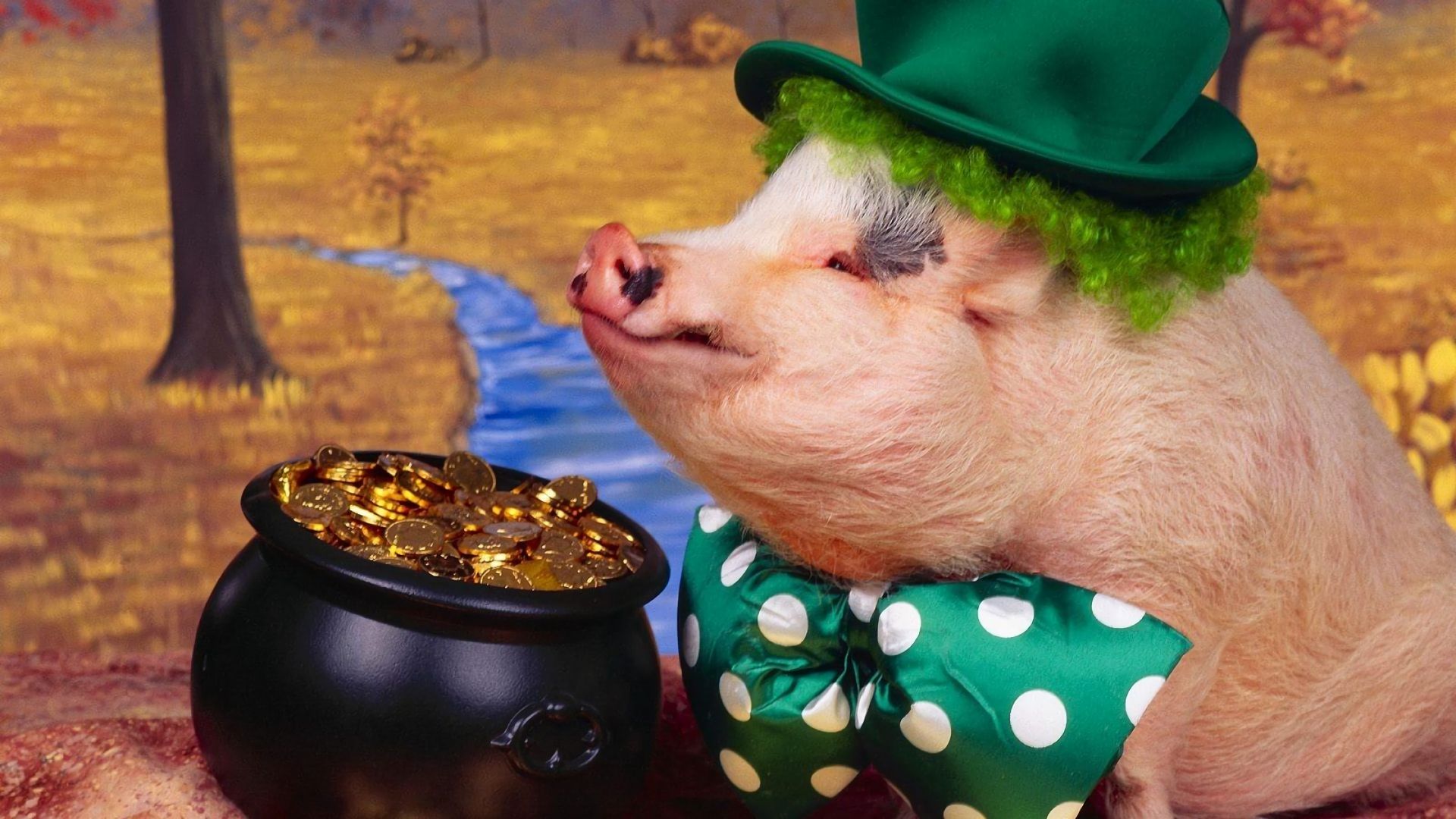animal, pig, costume lock screen backgrounds