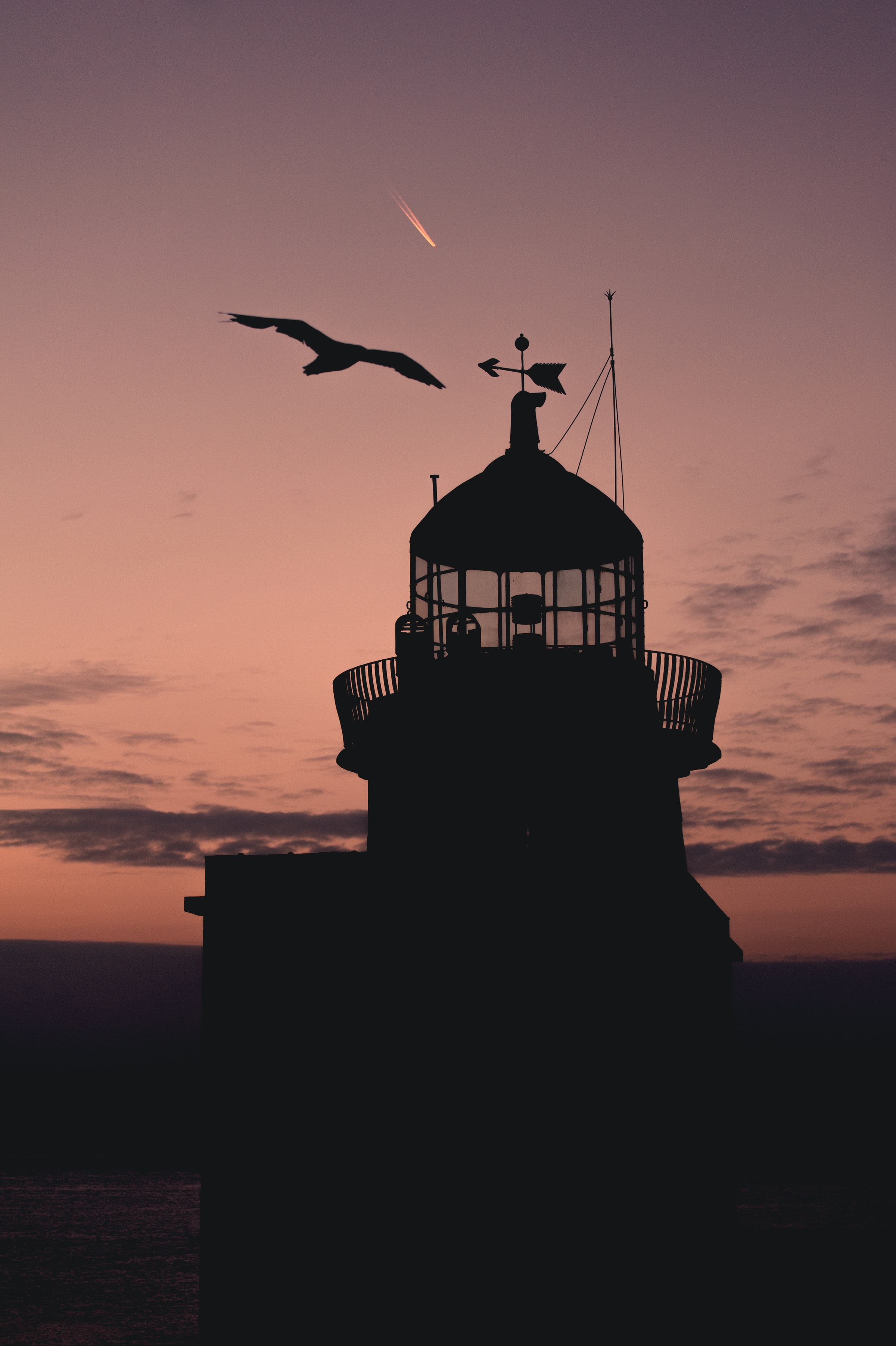 62502 скачать обои маяк, темные, закат, силуэт, птица, здание - заставки и картинки бесплатно