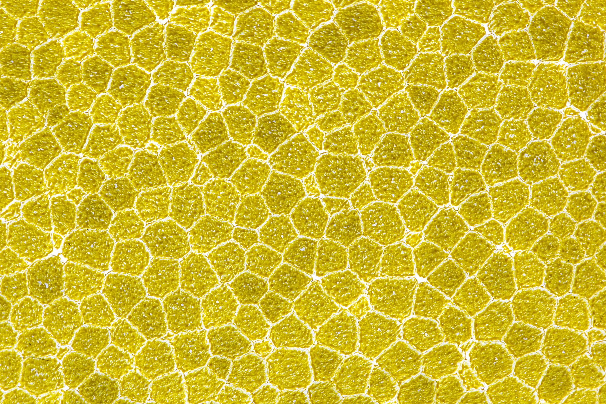 753537 free download Yellow wallpapers for phone,  Yellow images and screensavers for mobile