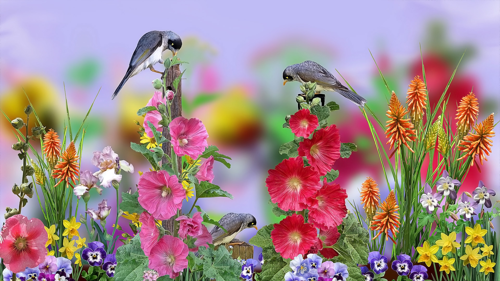 Цветы птицы для детей