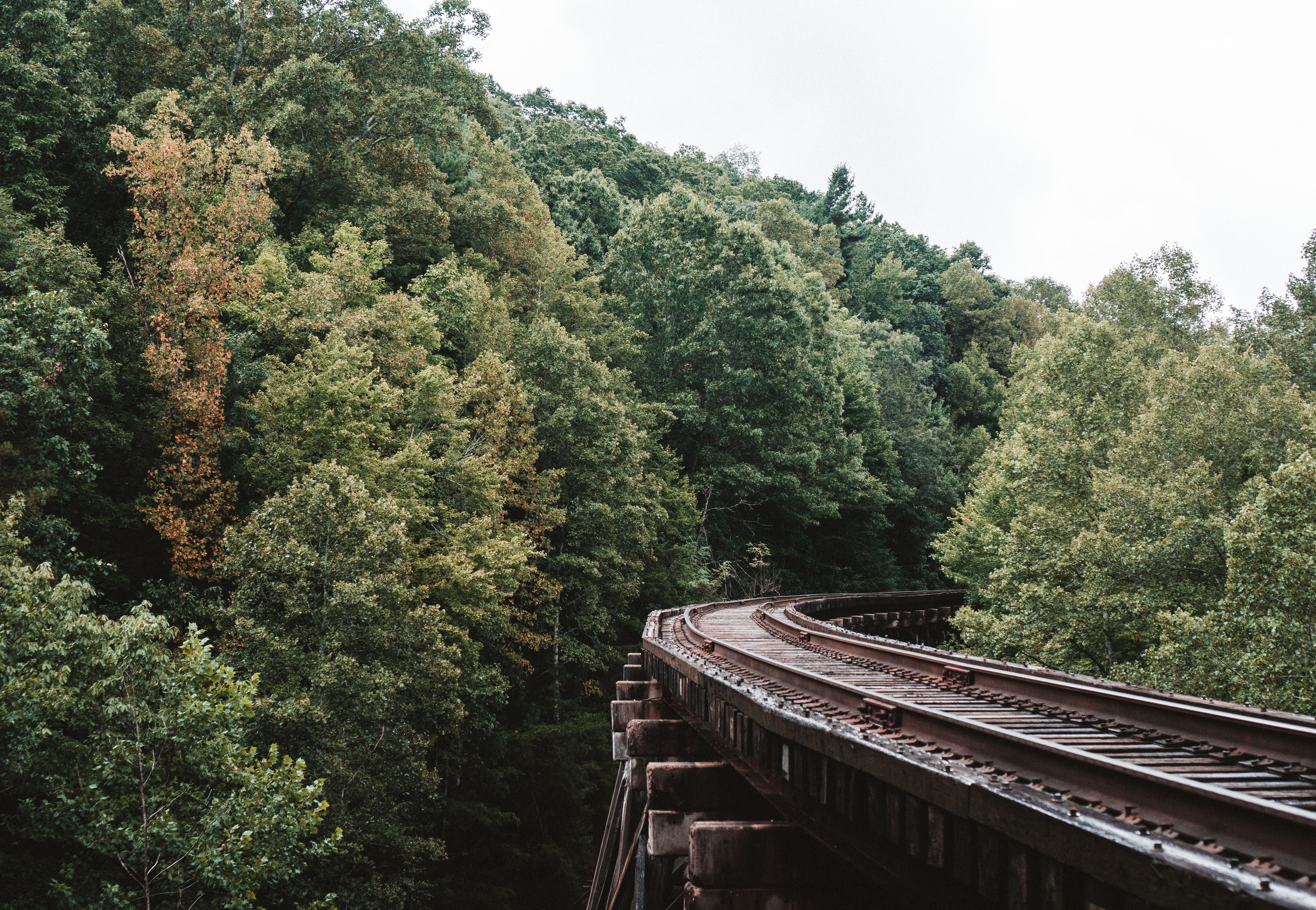 Download mobile wallpaper Railway, Trees, Sky, Nature for free.
