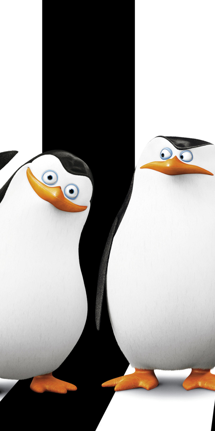 movie, penguins of madagascar, penguin, madagascar (movie)