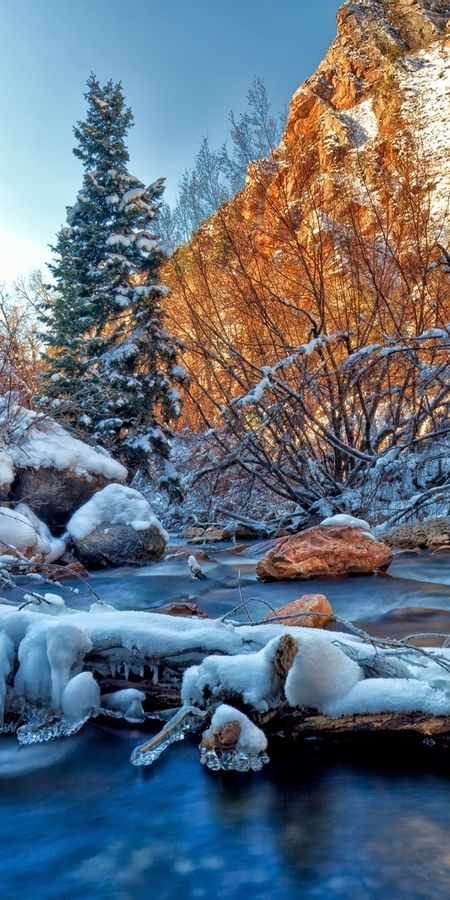 Ice forest. Зимняя природа. Зимняя река. Красивый зимний лес. Зимняя речка.