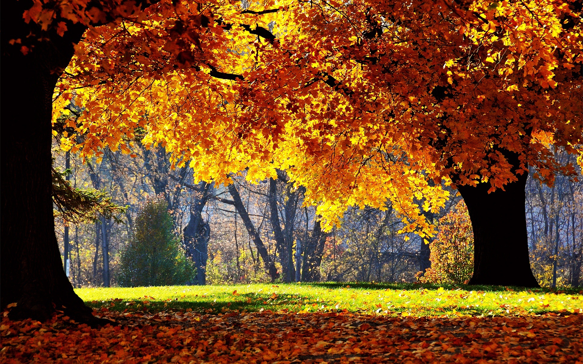 176404 Bildschirmschoner und Hintergrundbilder Herbst auf Ihrem Telefon. Laden Sie  Bilder kostenlos herunter