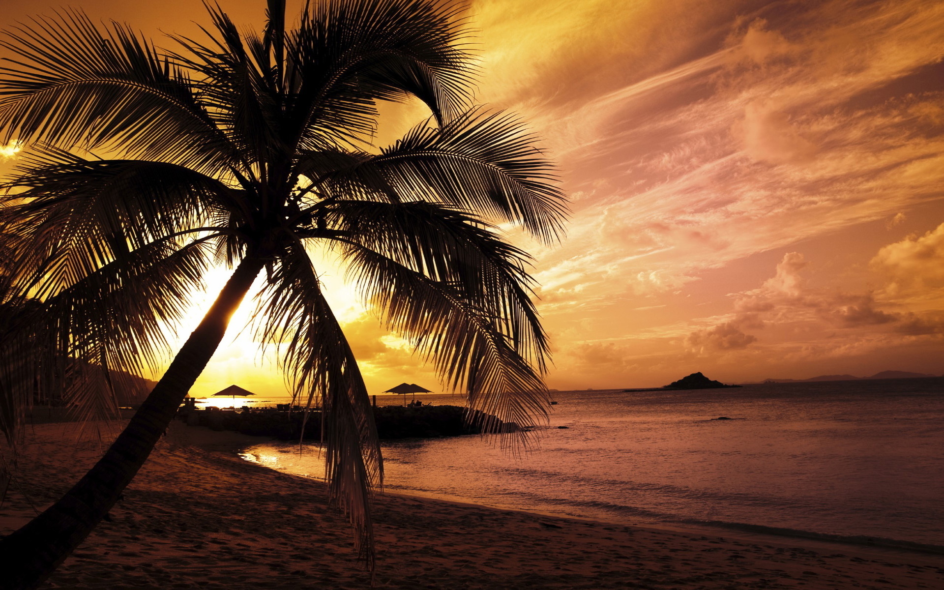 31957 baixar papel de parede paisagem, pôr do sol, praia, palms, preto - protetores de tela e imagens gratuitamente