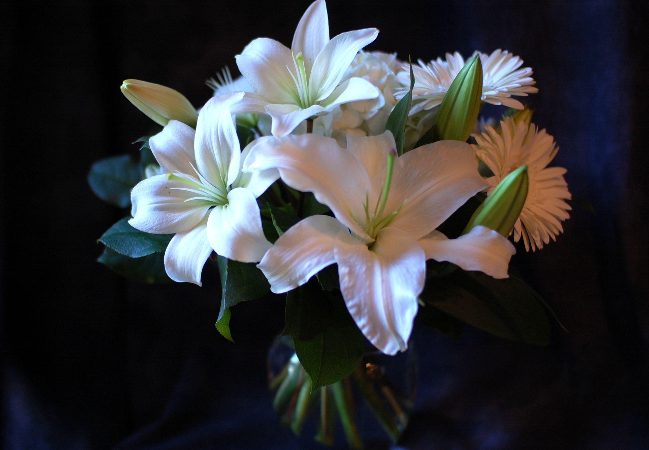 gerberas, flowers, lilies, white, bouquet phone wallpaper