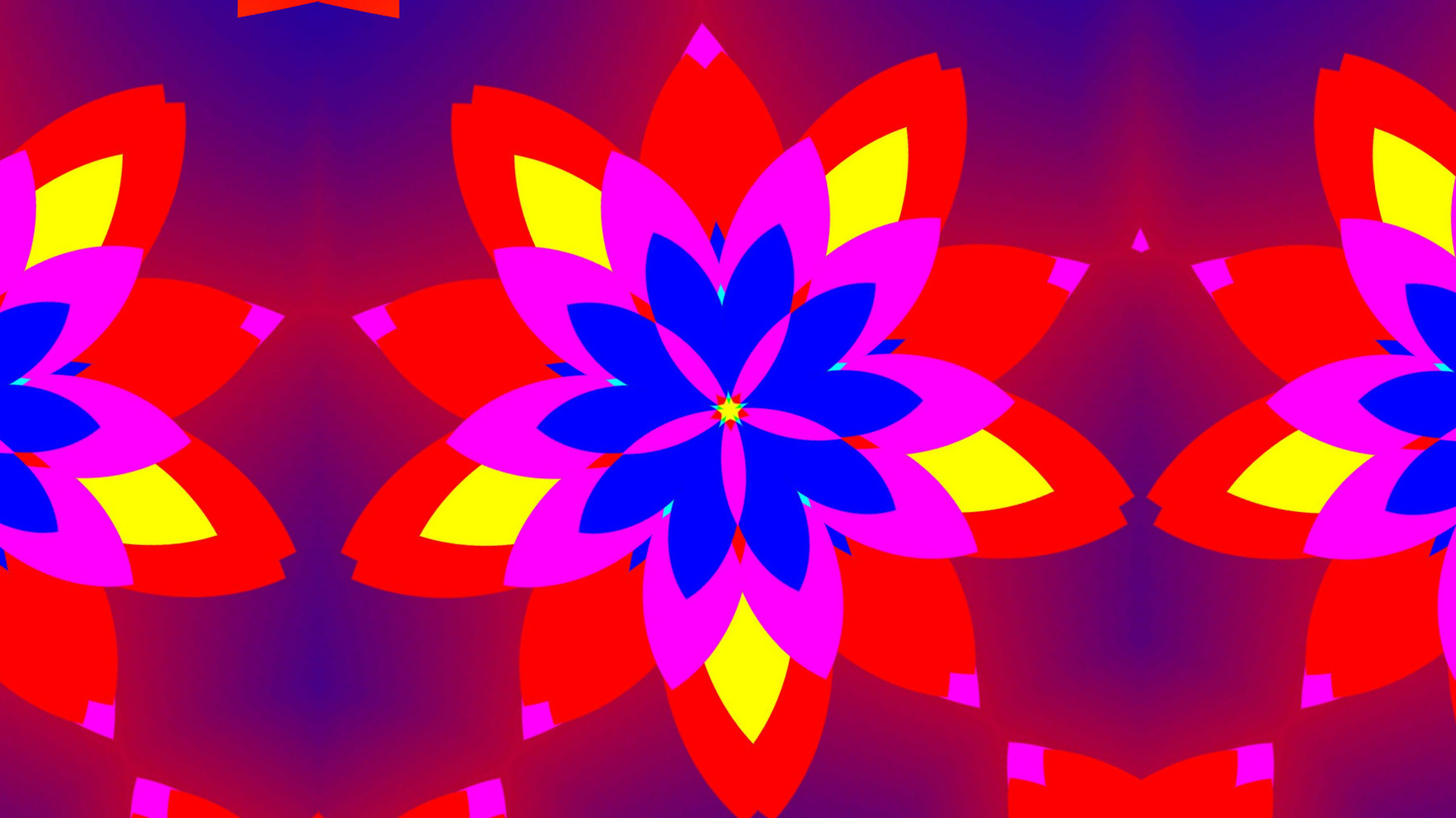 Download mobile wallpaper Abstract, Flower, Pattern, Colors, Symmetry, Kaleidoscope for free.