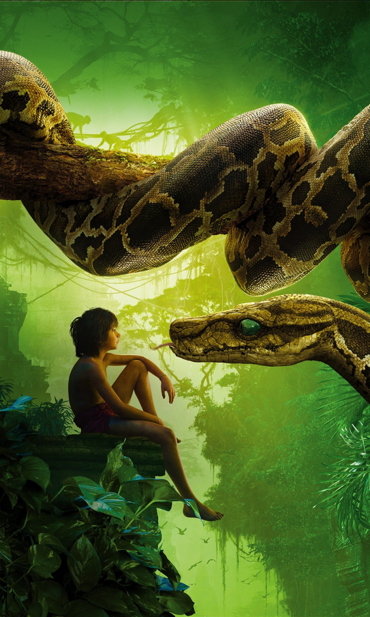 mowgli, movie, the jungle book (2016), snake, kaa (jungle book), the jungle book 8K