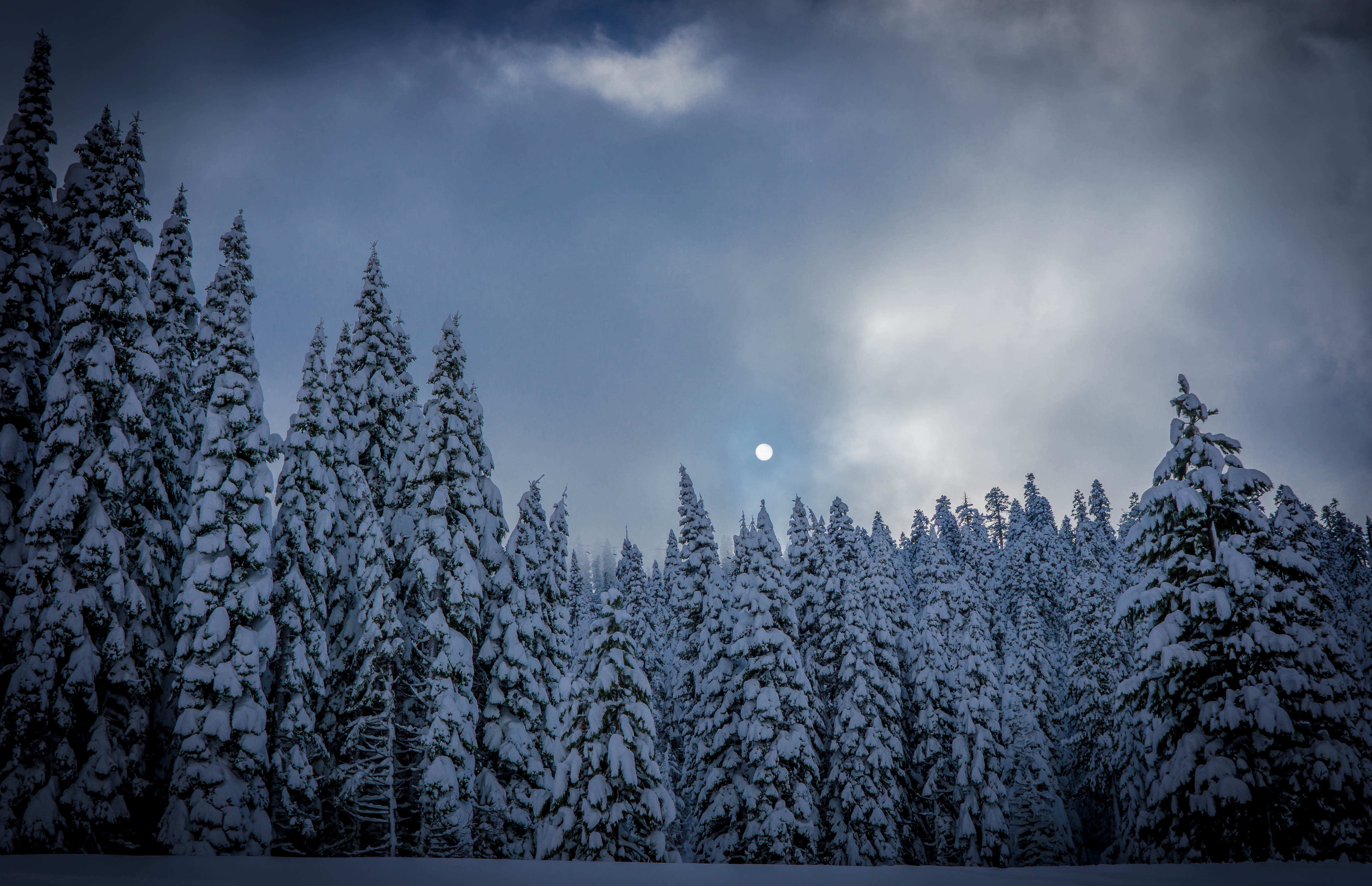 154312 Hintergrundbild herunterladen winter, natur, schnee, wald, aß, aßen - Bildschirmschoner und Bilder kostenlos
