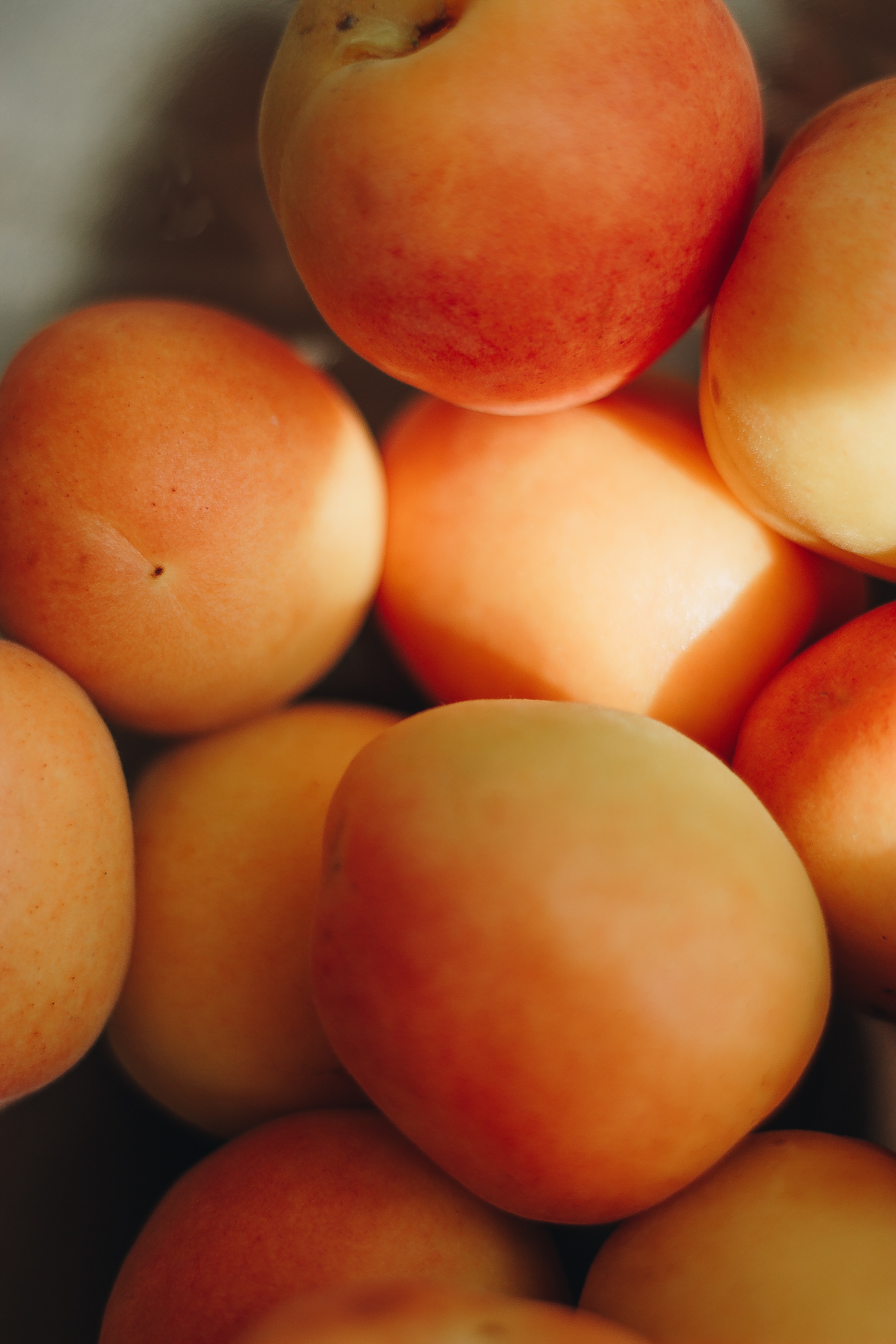 apricots, fruits, food, macro Free Stock Photo