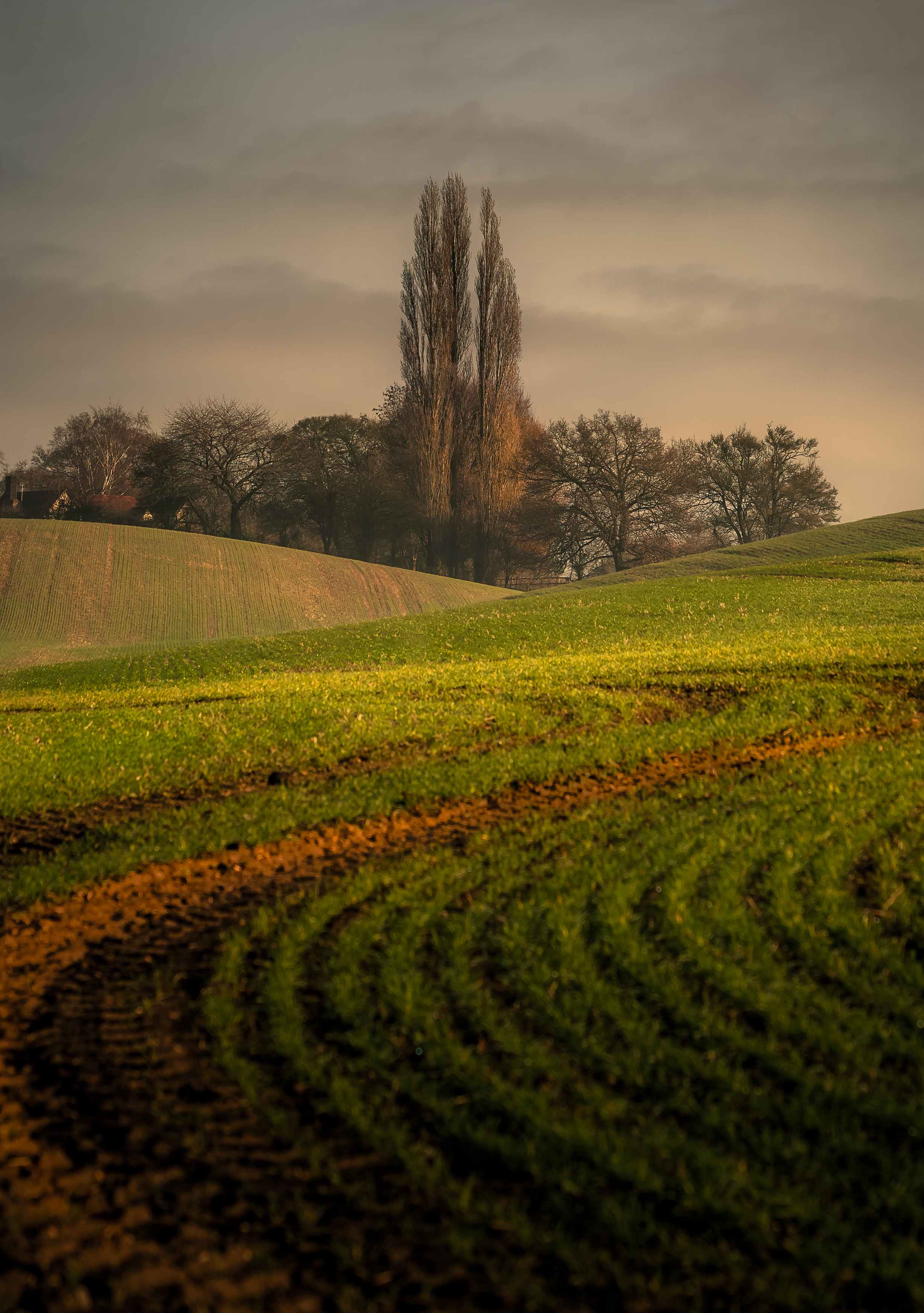 Arable Land Cell Phone Wallpapers