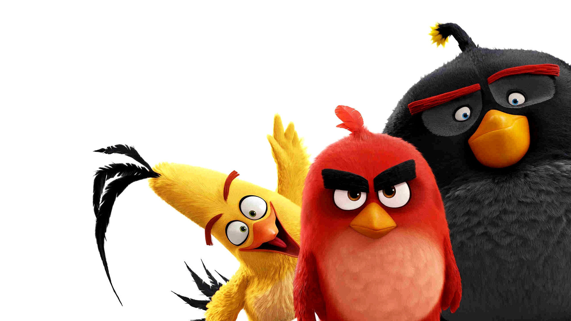 Angry Birds в кино мультфильм 2016