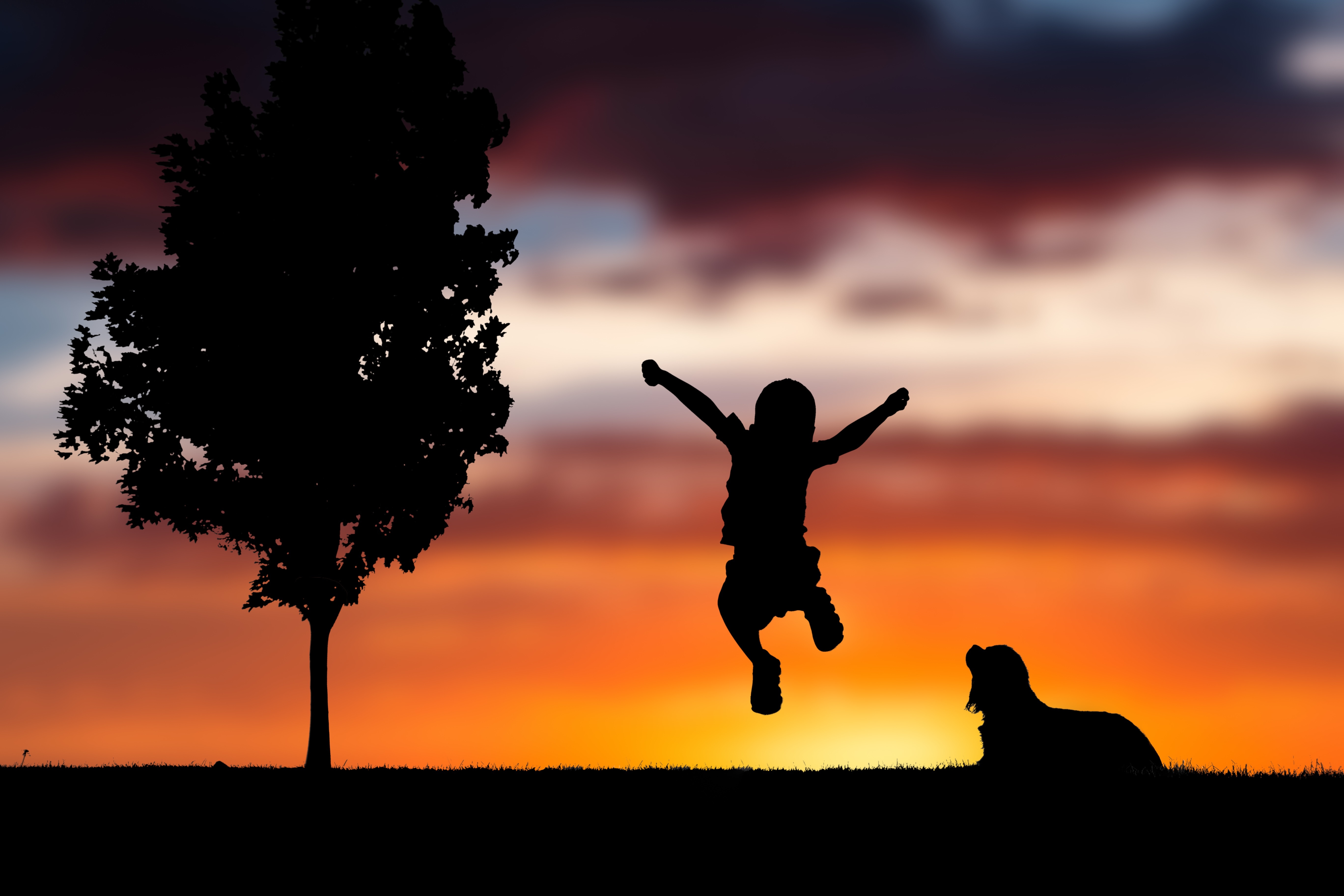 Laden Sie das Silhouette, Kind, Springen, Prallen, Glück, Sunset, Hund, Dunkel-Bild kostenlos auf Ihren PC-Desktop herunter