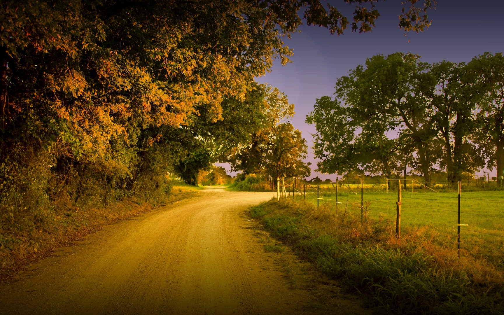 Download PC Wallpaper road, earth, path, country, fall, tree
