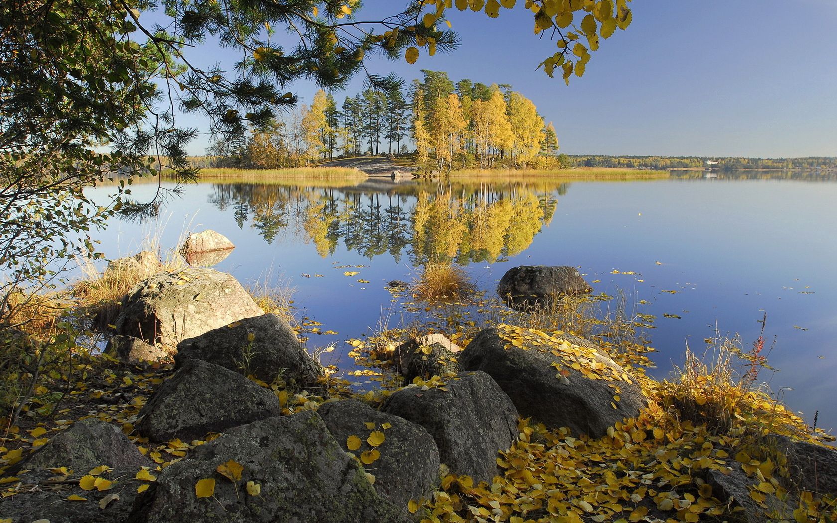 island, trees, autumn, birches, nature, stones, leaves, lake, shore, shores, islet UHD