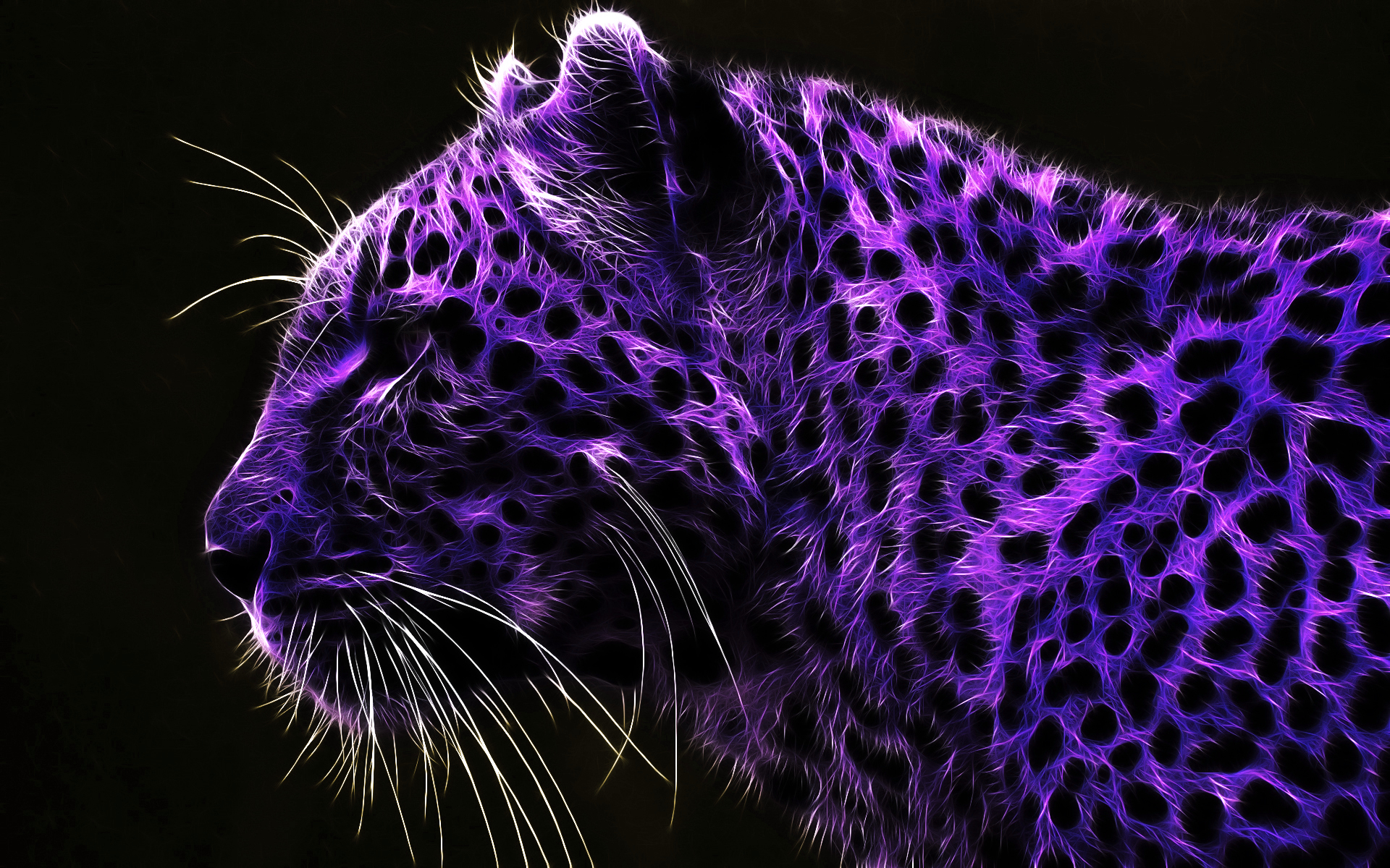 purple, animal, artistic, leopard