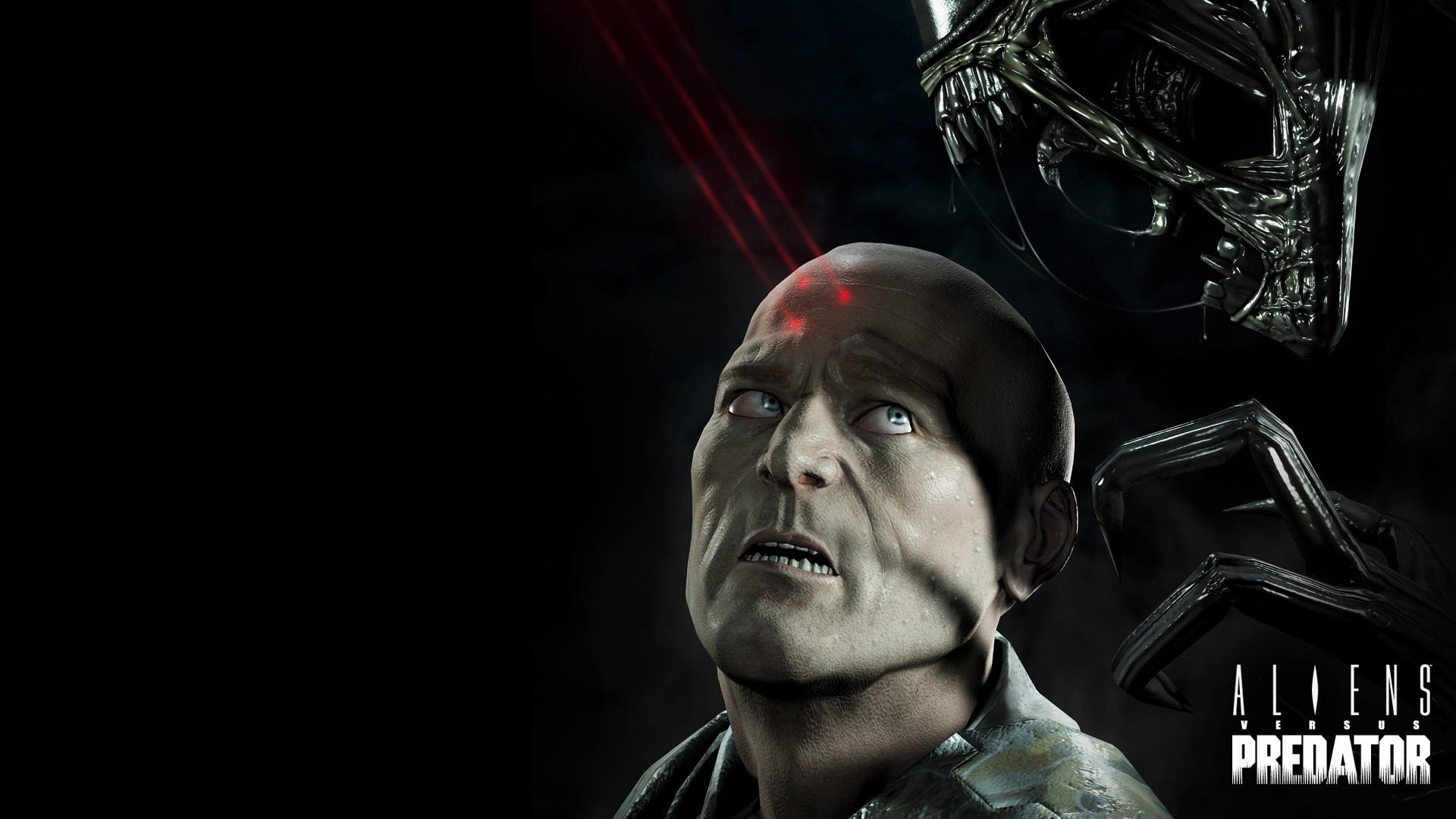 Download Alien Vs Predator Attacking Humans Wallpaper