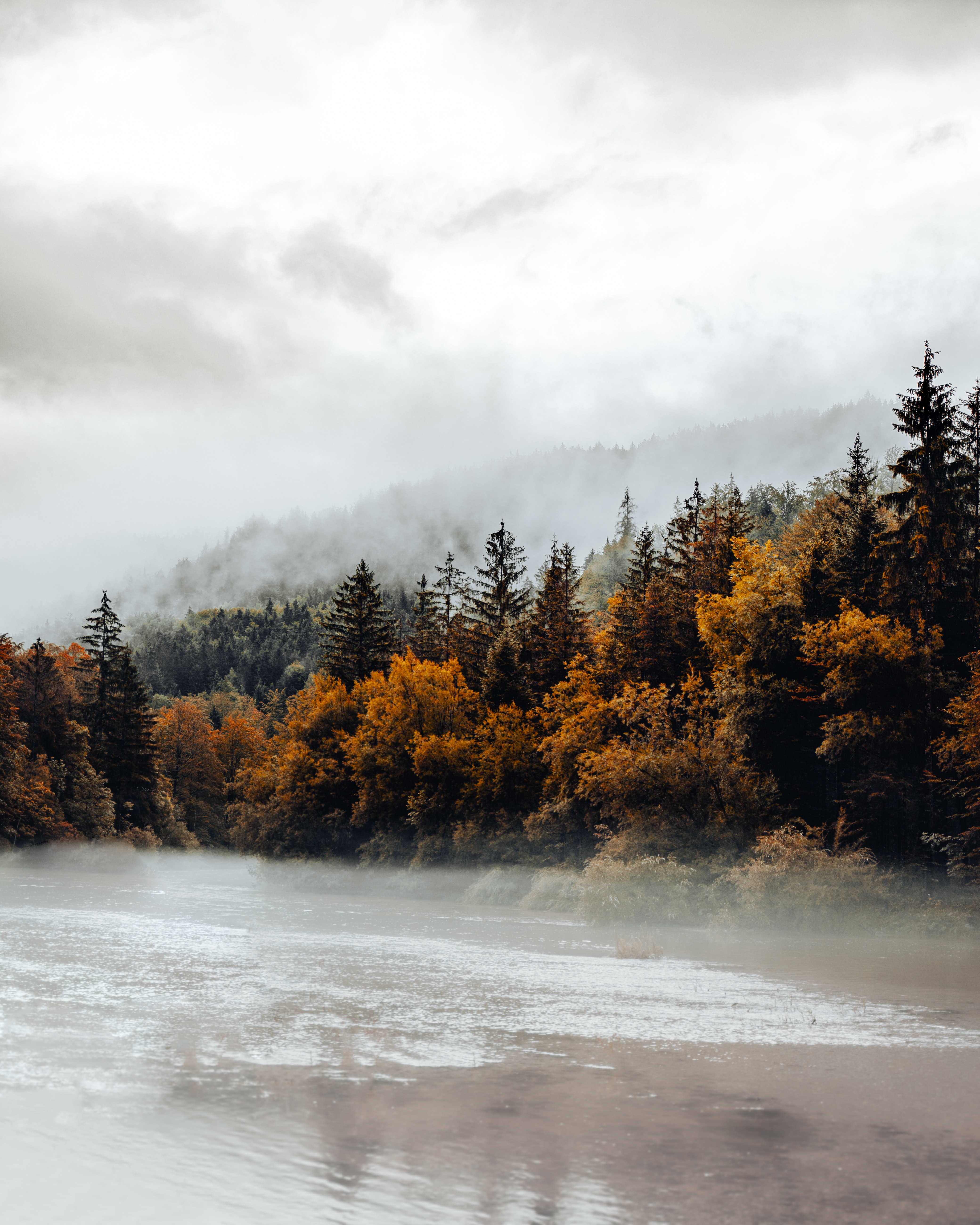 Скачать картинку Туман, Лес, Ель, Река, Природа, Осень в телефон бесплатно.
