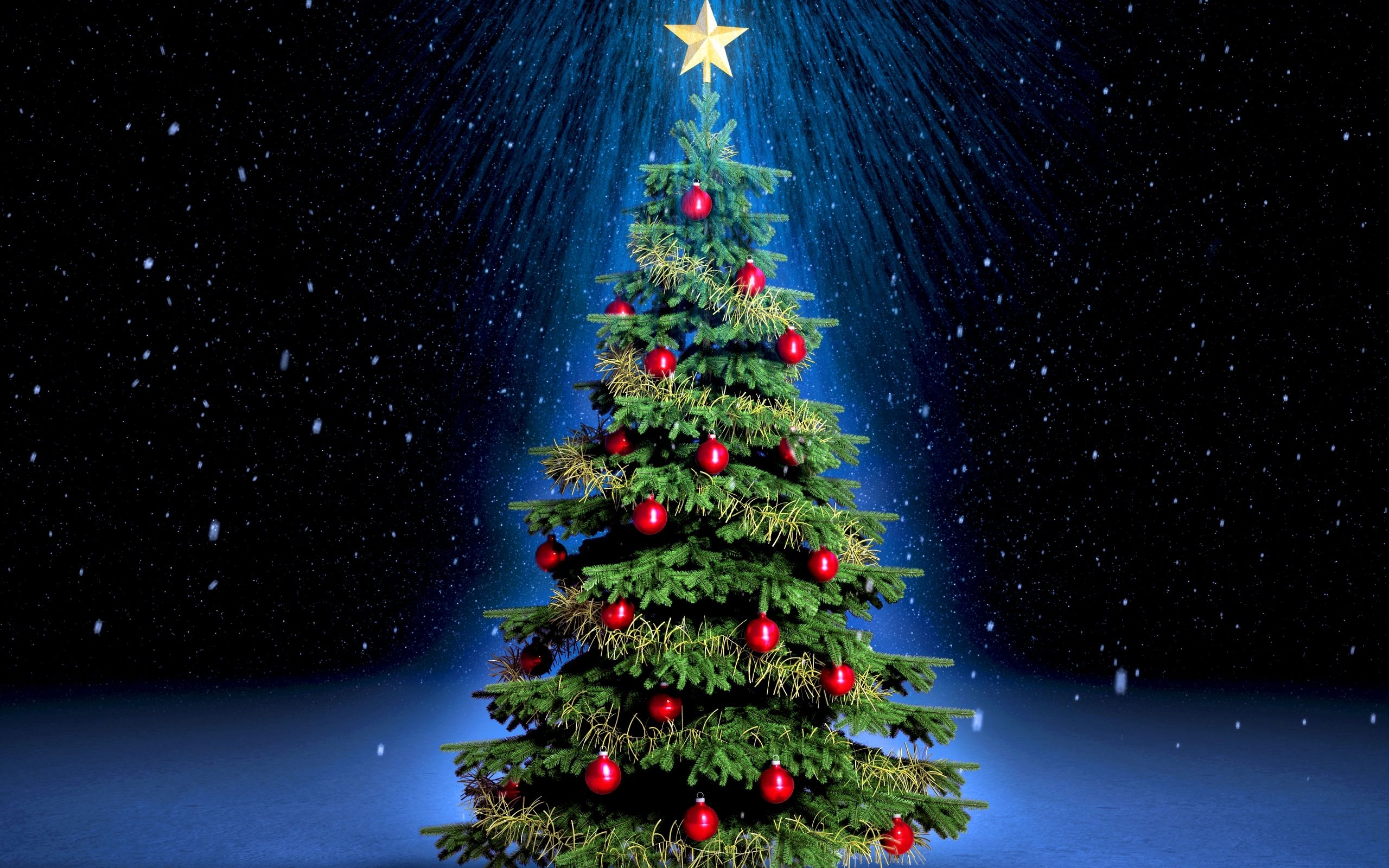 Download mobile wallpaper Trees, Objects, New Year, Plants, Holidays for free.