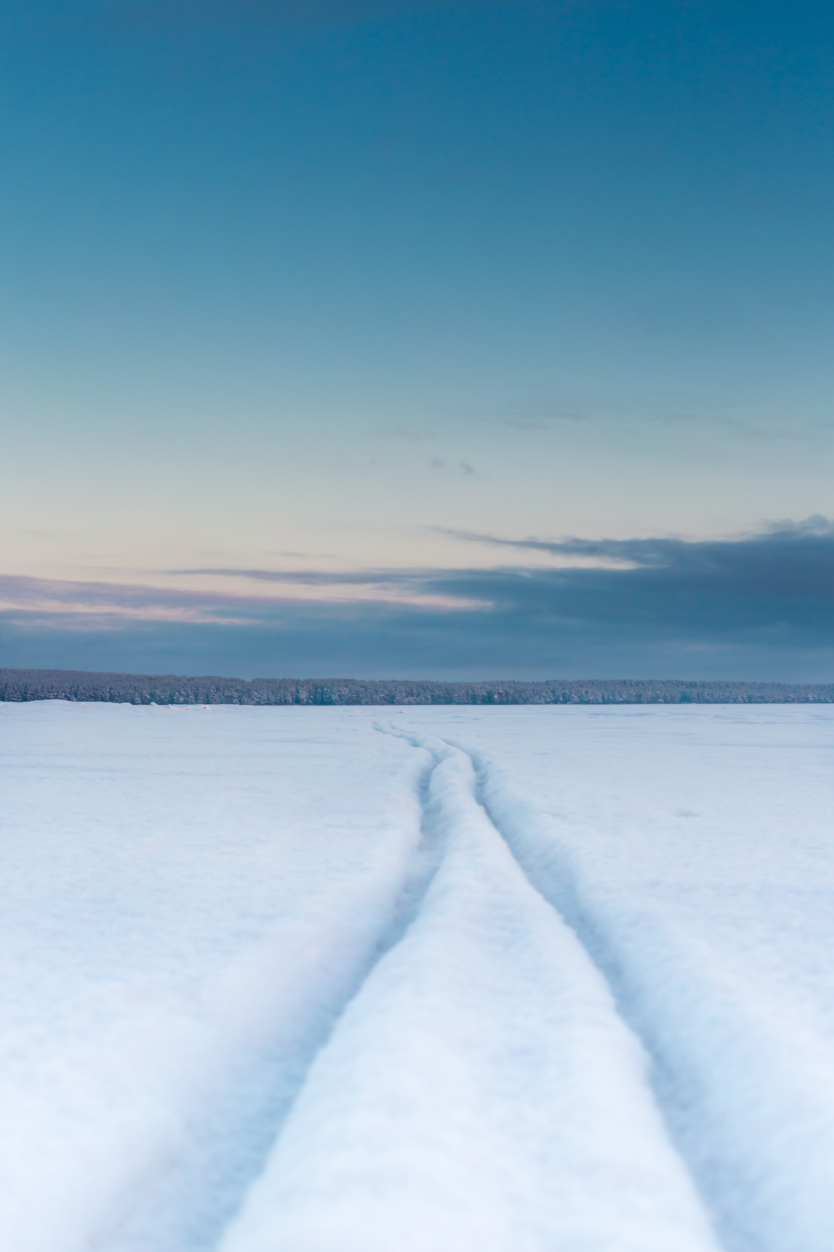 winter, nature, snow, field, track, trace Full HD