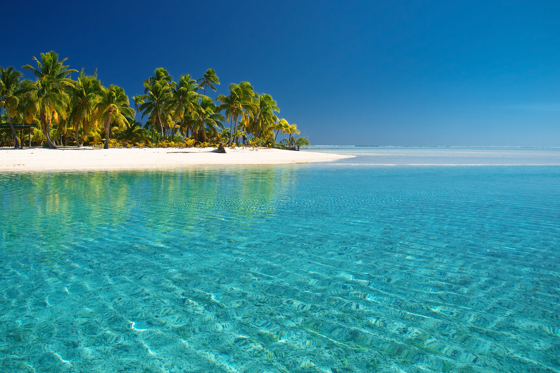 sea, landscape, beach, turquoise, palms Free Stock Photo