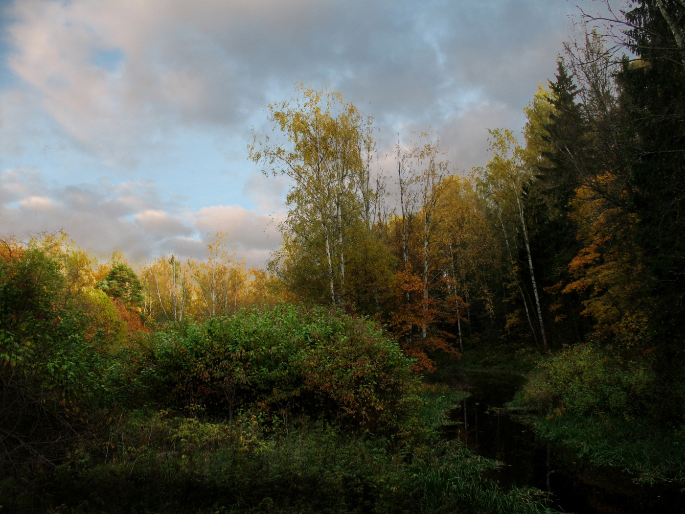Download mobile wallpaper Landscape, Rivers, Autumn for free.