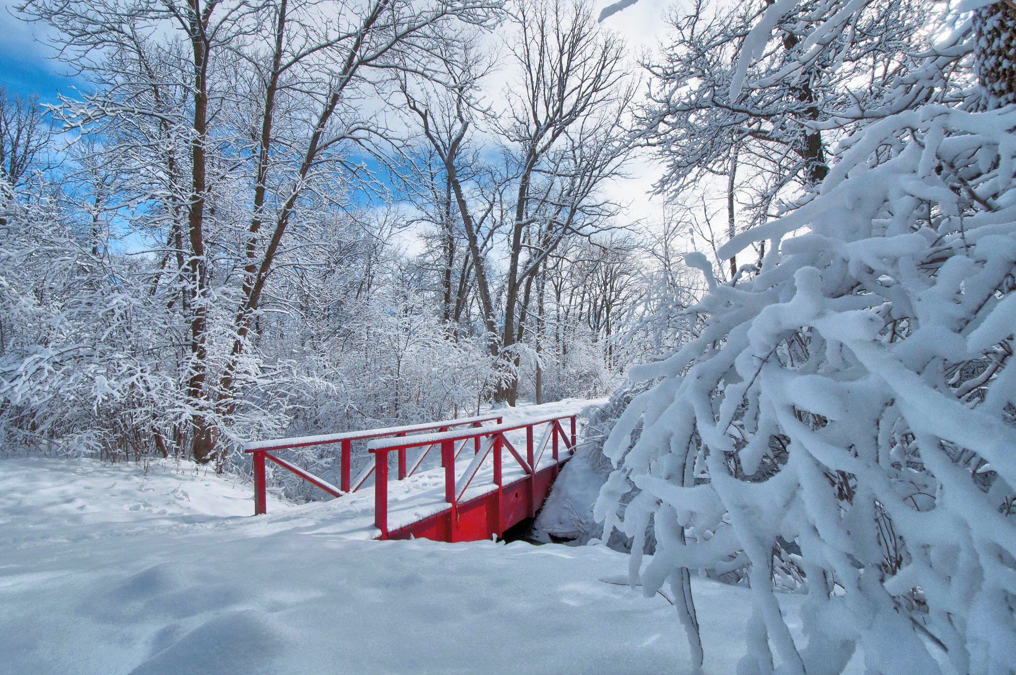 Скачать обои бесплатно Зима, Снег, Парк, Дерево, Земля, Фотографии картинка на рабочий стол ПК
